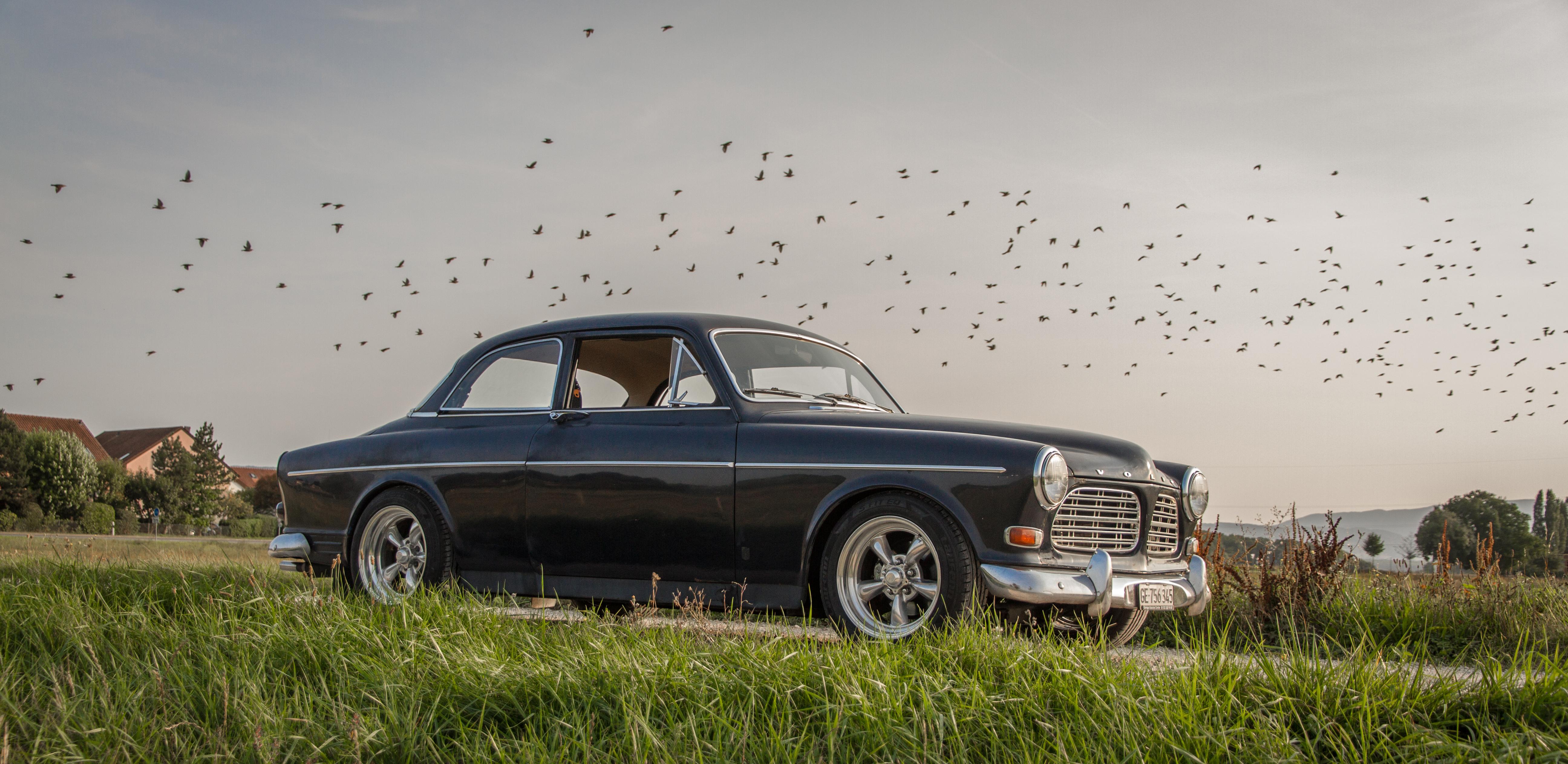 Volvo Amazon Coupe, 1969