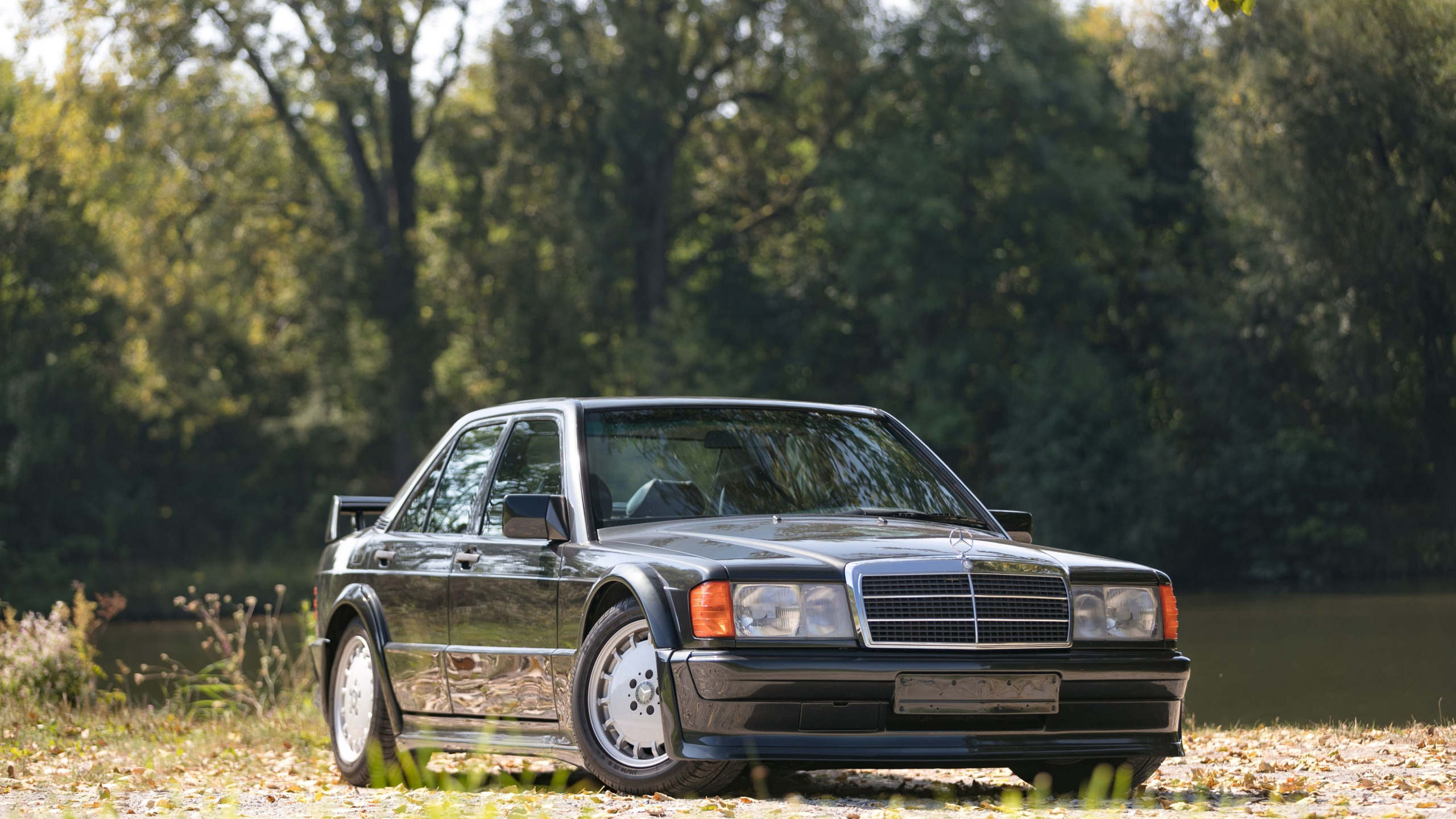 Download wallpaper EVO, W201, Mercedes