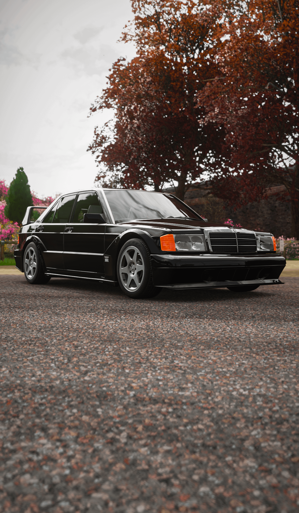 Mercedes Benz 190E 2.5 16