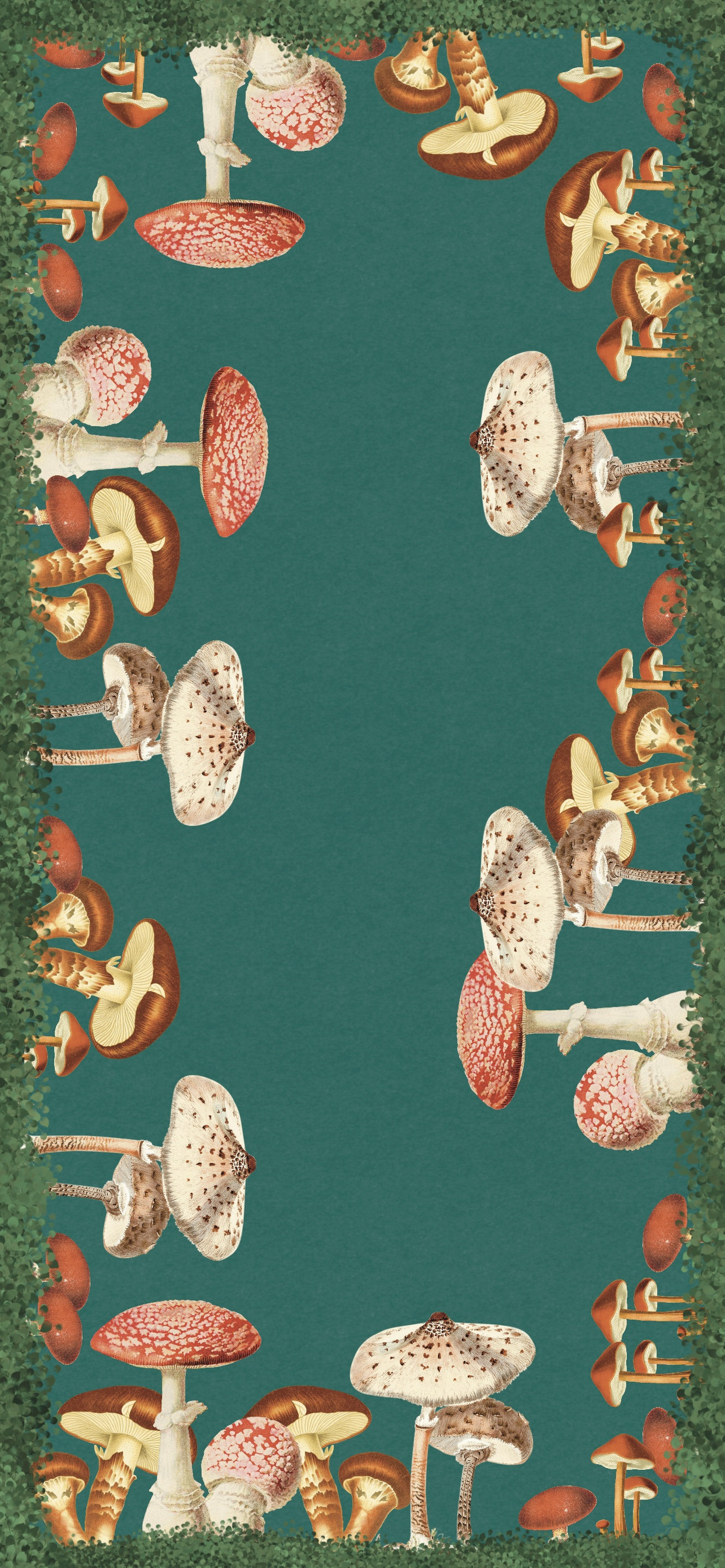 Vintage Mushroom Phone Wallpaper