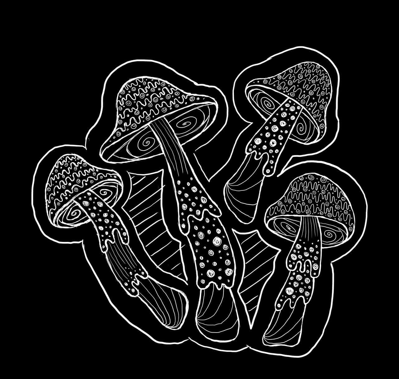 Trippy World of Mushrooms