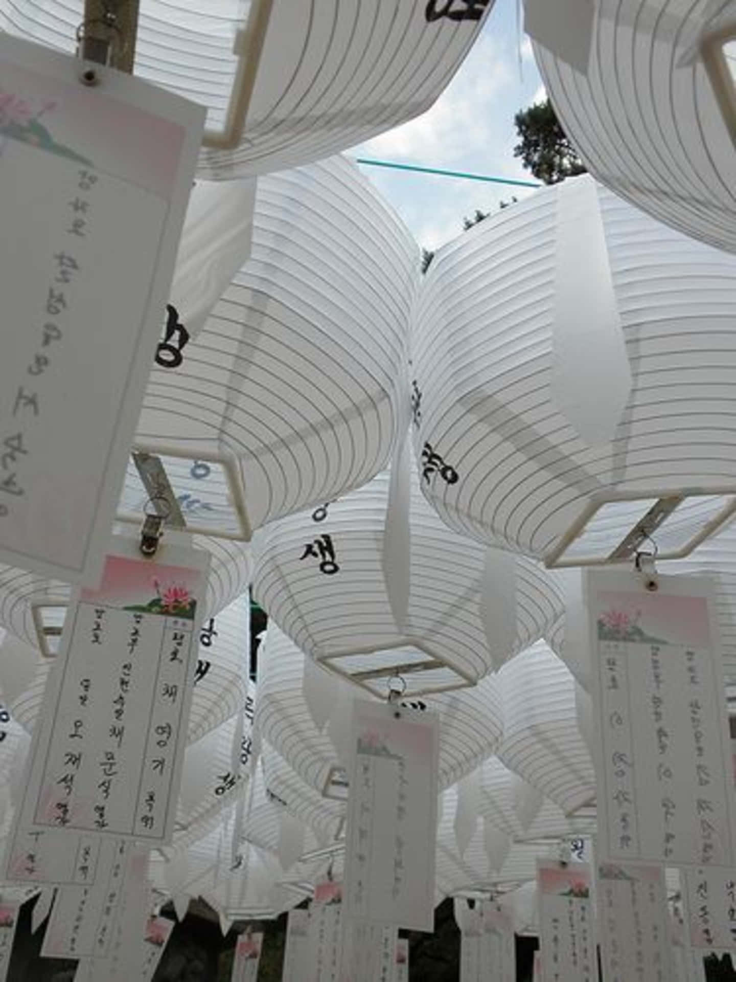 Japanese White Design Wallpaper