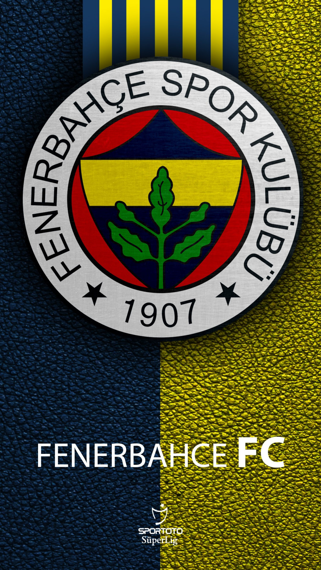 Fenerbahçe S.K Wallpaper 3840x2400