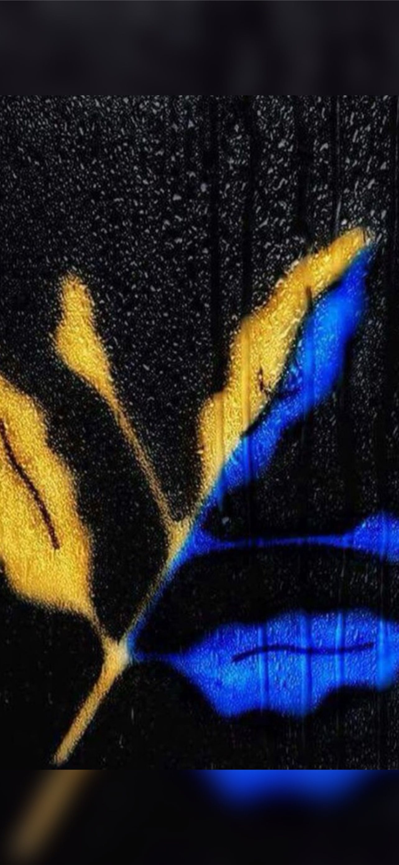 Best Fenerbahce sk iPhone HD Wallpaper