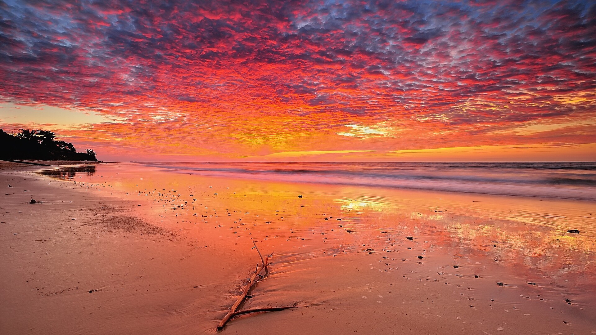 Landscape Beach Tropical