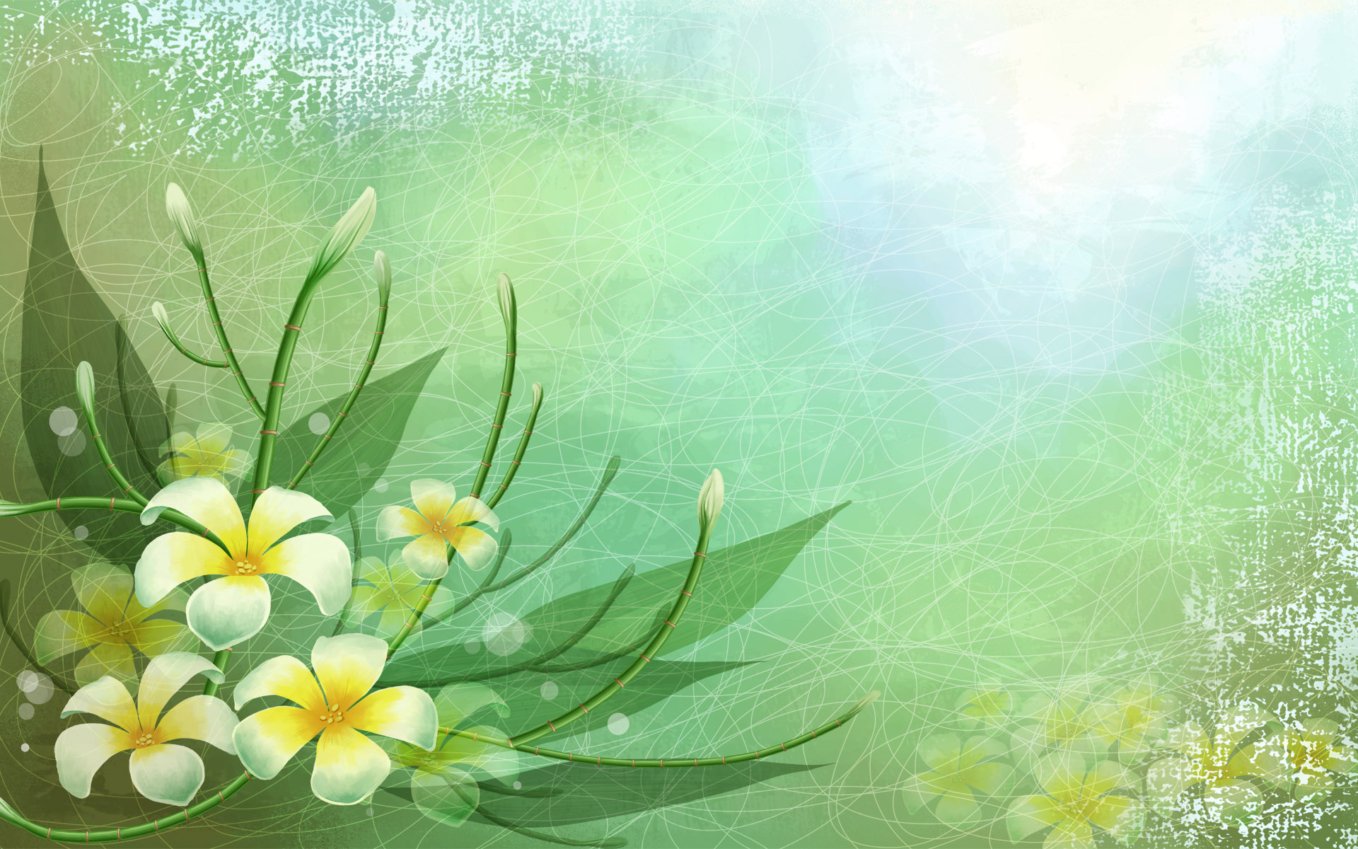 Light Green Nature Background 8702 Hd