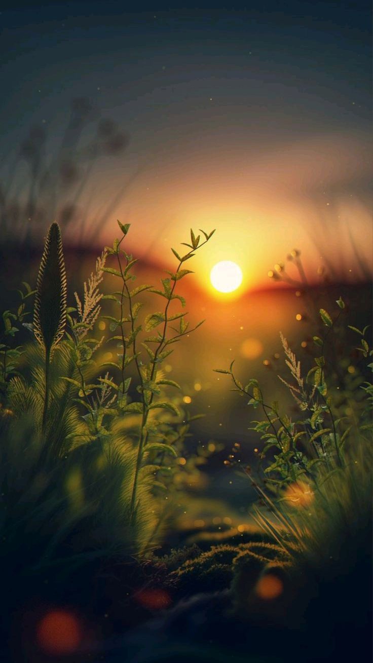 wallpaper 4k High quality wallpaper HD