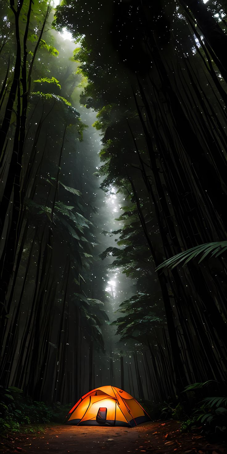 8K Wallpaper UltraHD iPhone, 8K