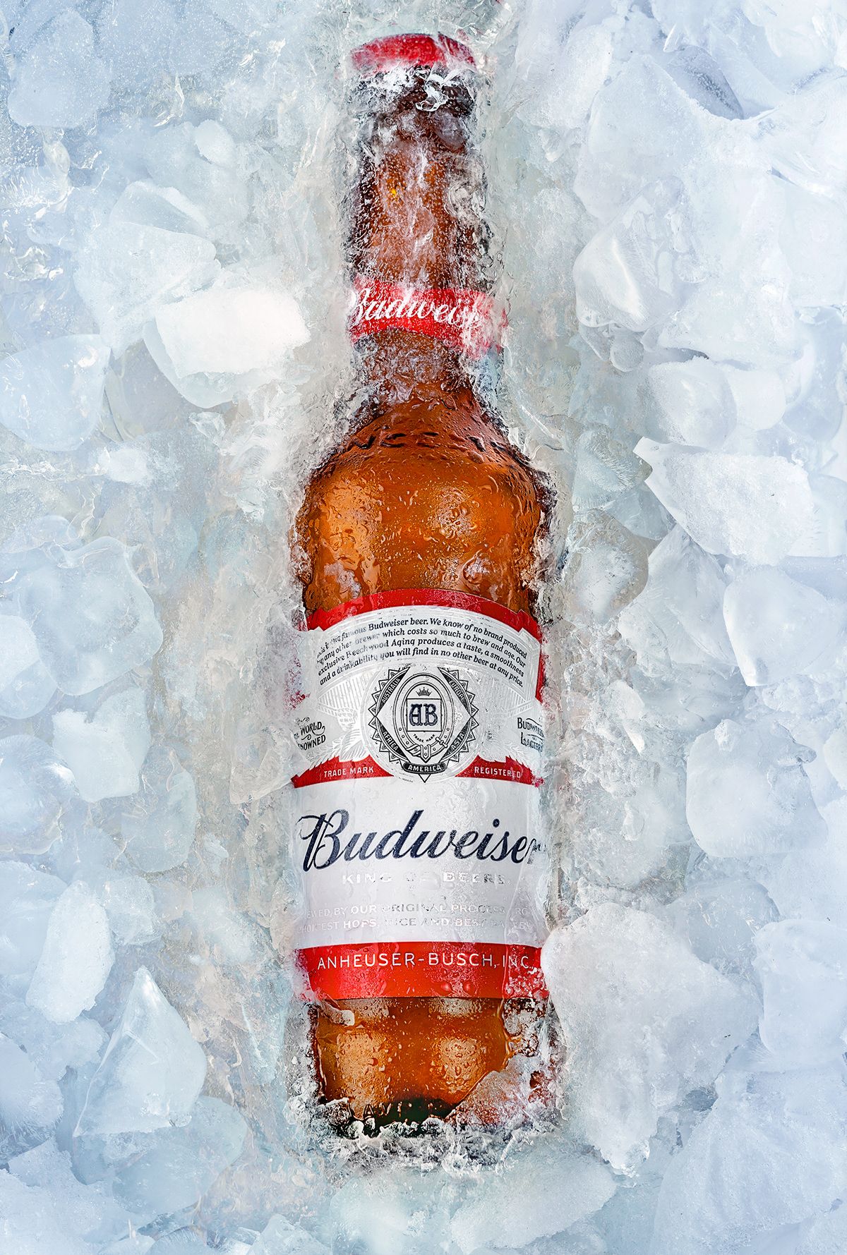 Budweiser. Beer photography