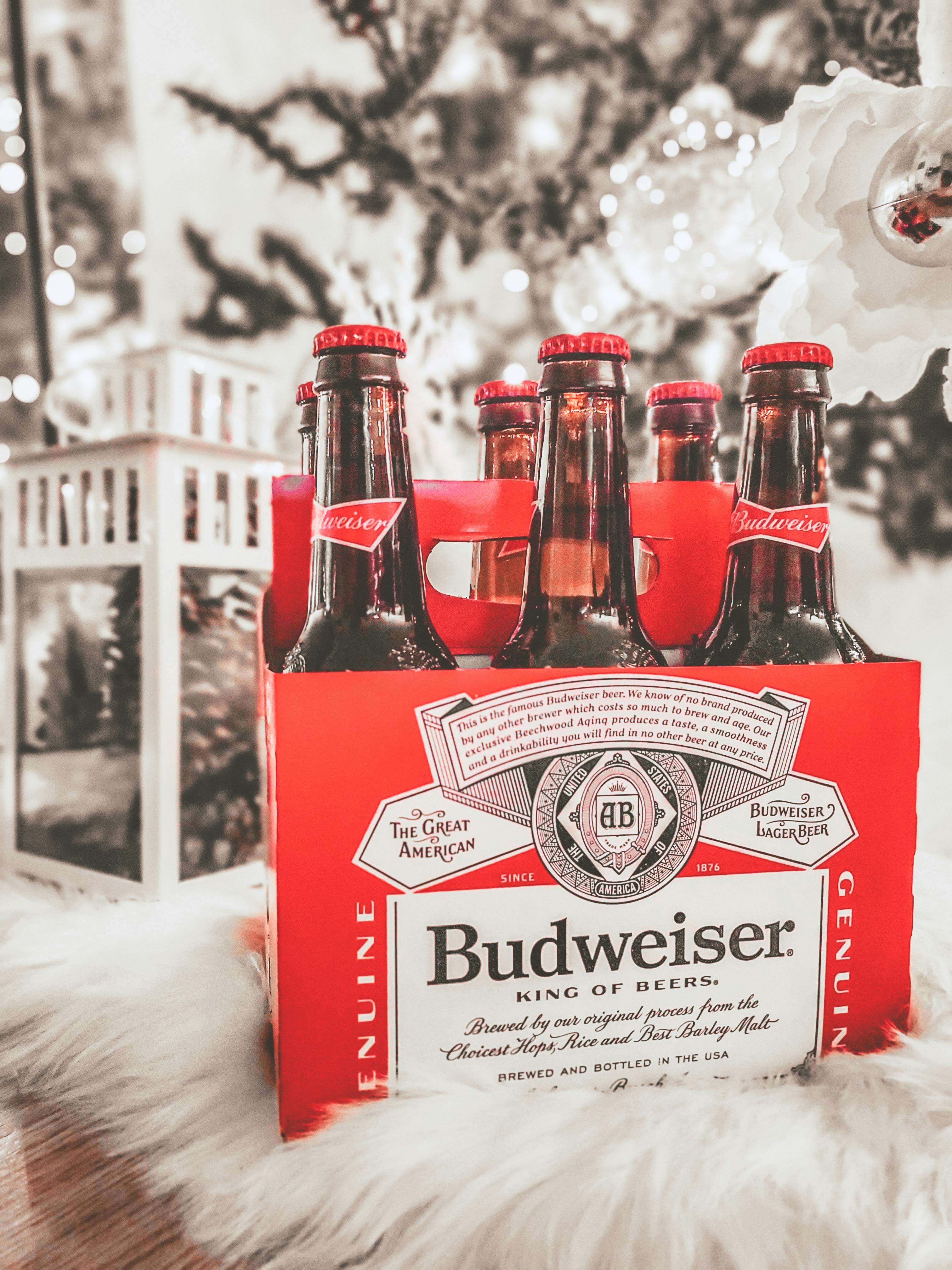Budweiser Photo, Download The BEST