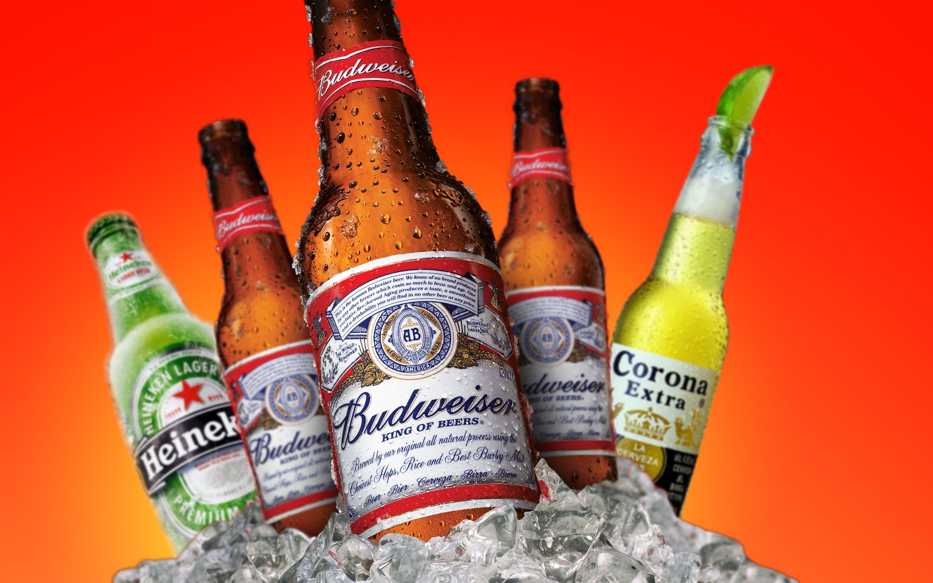 beer, Budweiser, Heineken, Corona