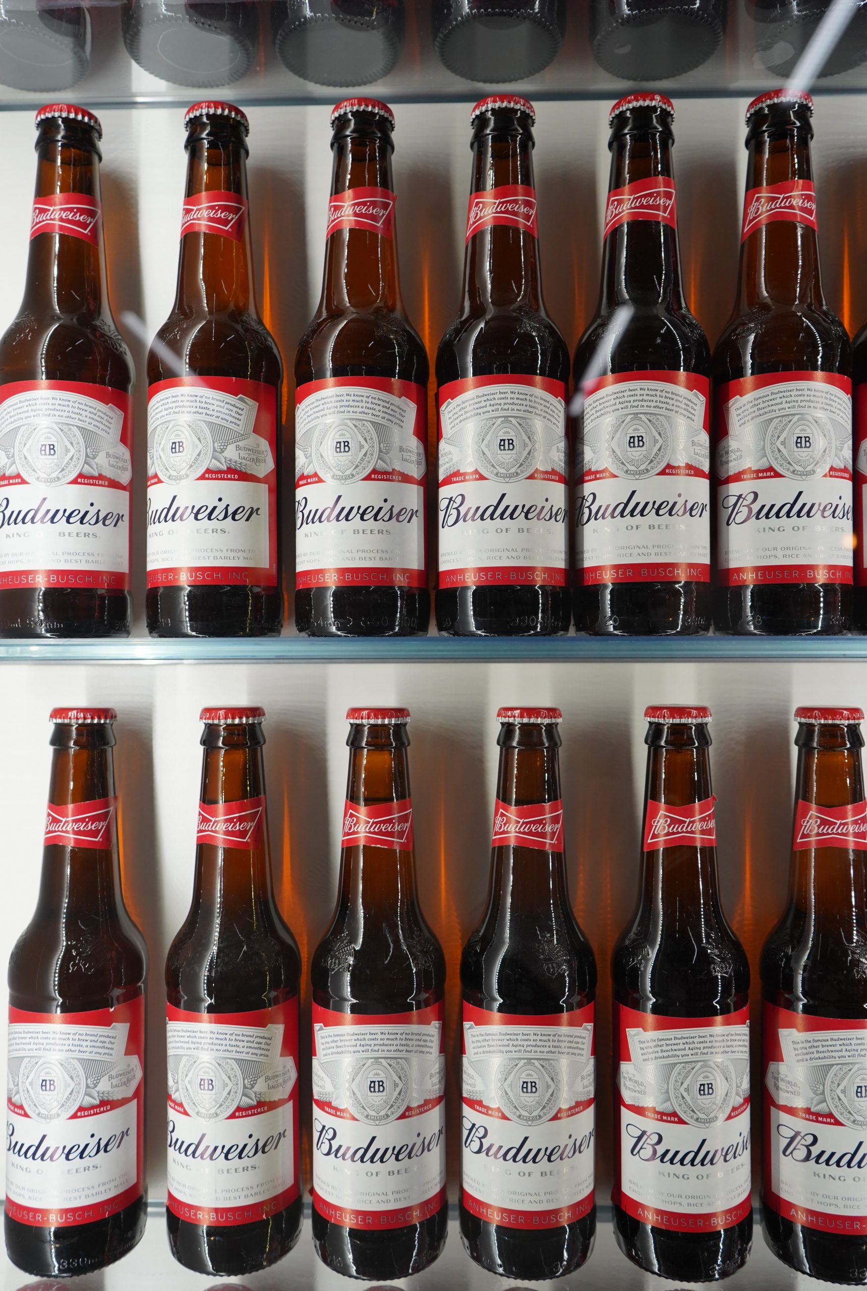 Budweiser (case of 24)