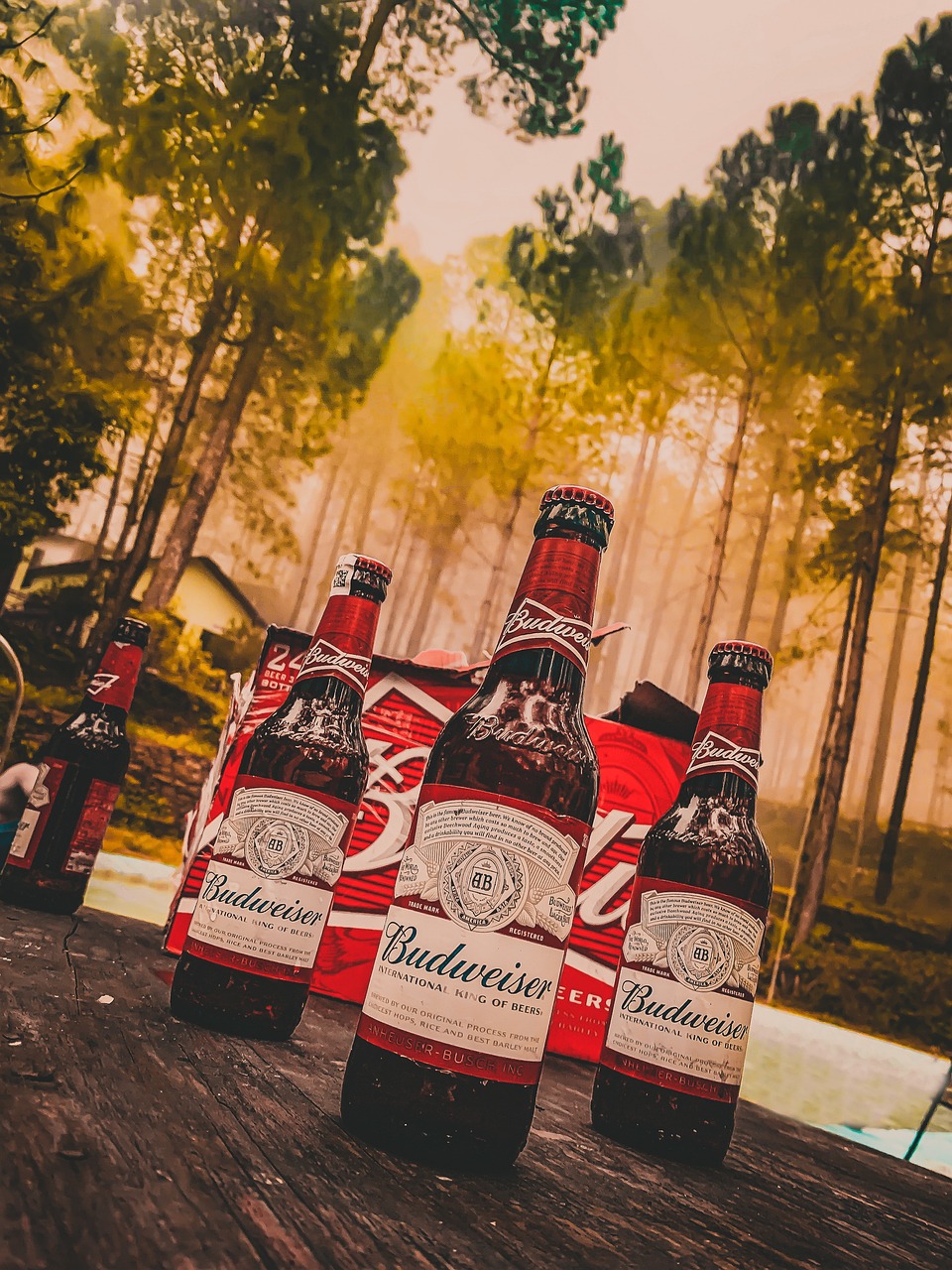 Budweiser Beer Bottle