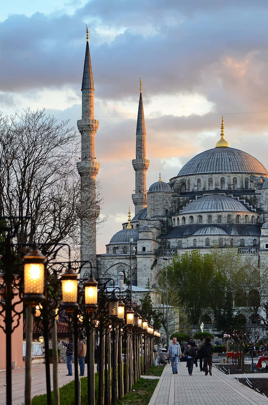 Blue Mosque Wallpaper