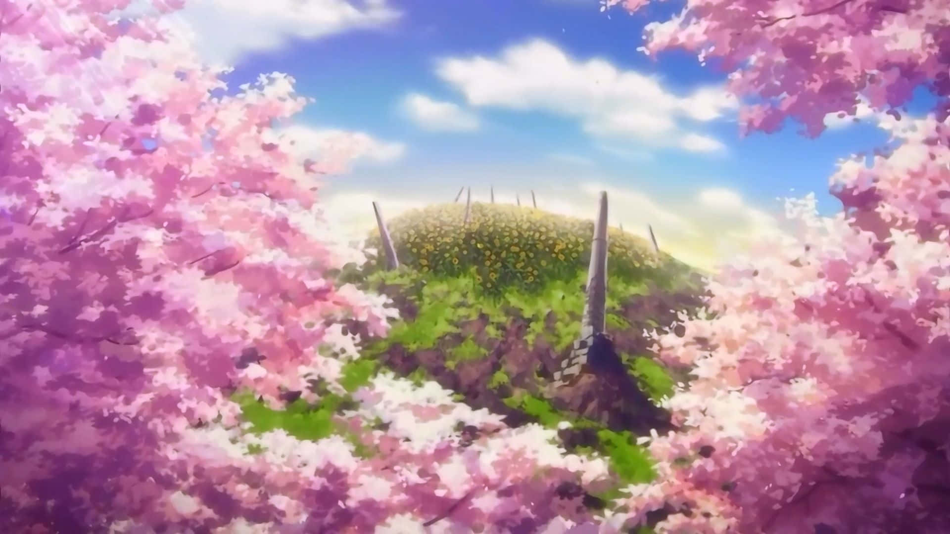 Cherry Blossoms Anime Scenery