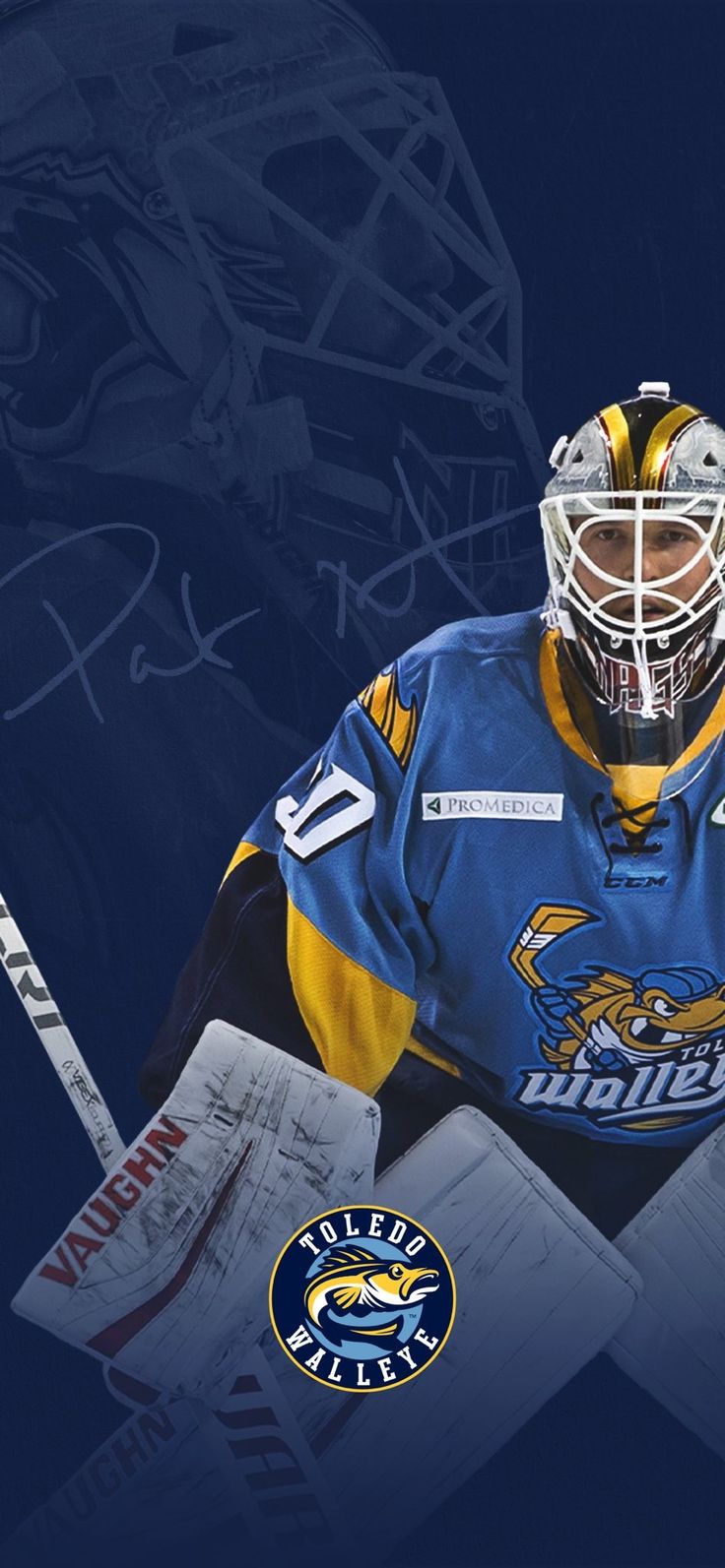 Wallpaper of Toledo Walleye goalie Pat