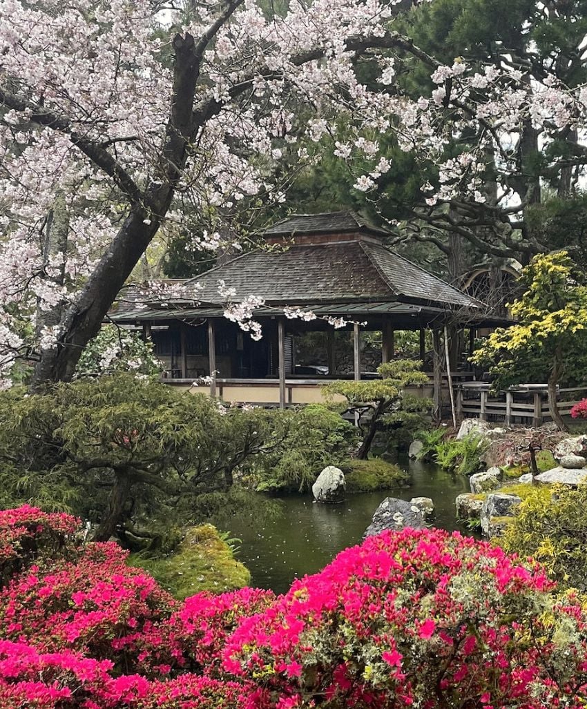 Spring Japan Tea Garden Wallpapers - Wallpaper Cave