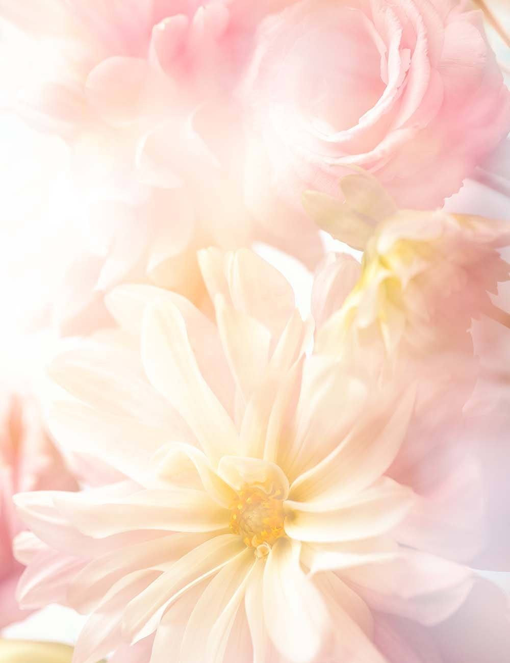 Light Pink Flower Backdrop For Baby