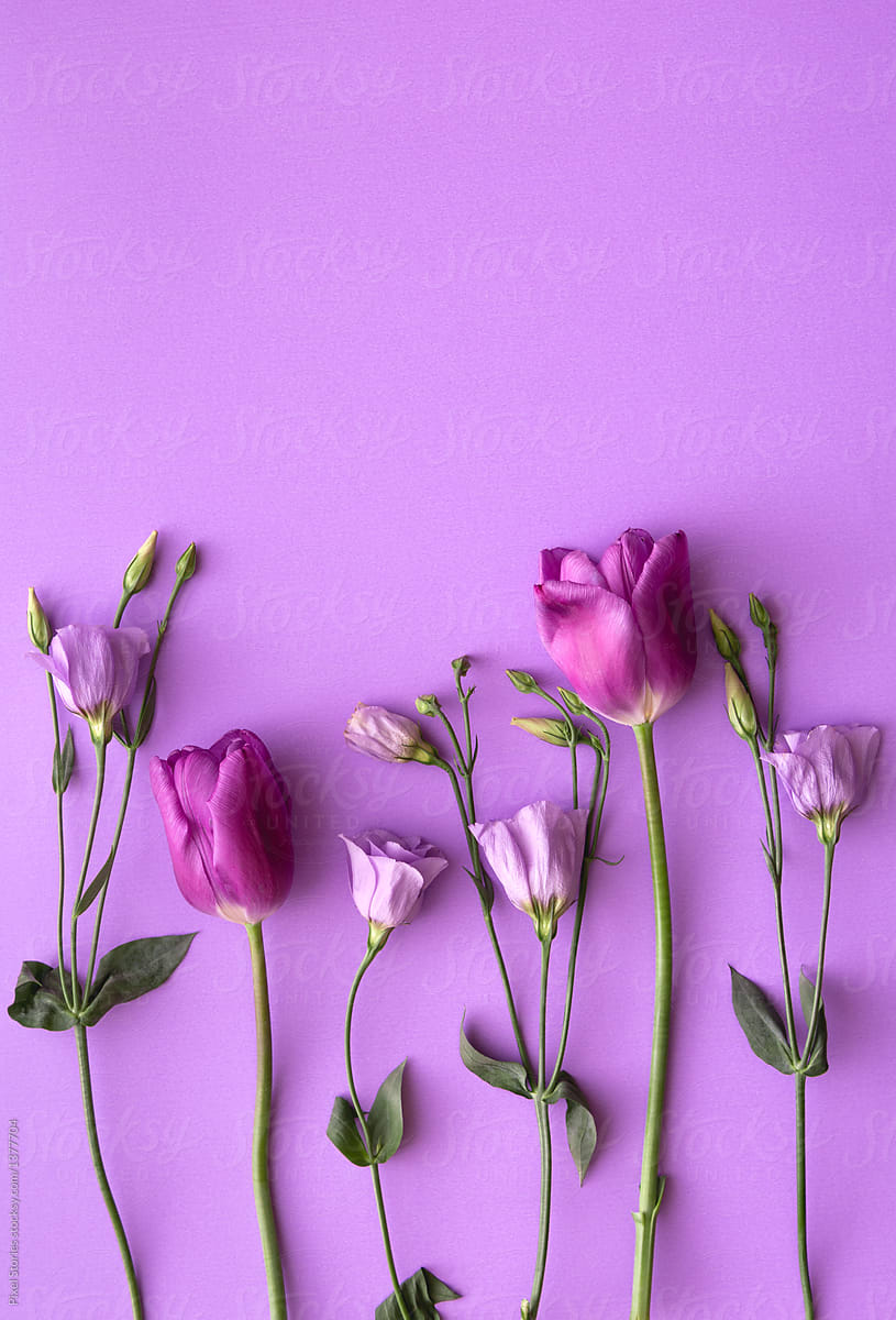 Purple Tulip Flowers And Roses On