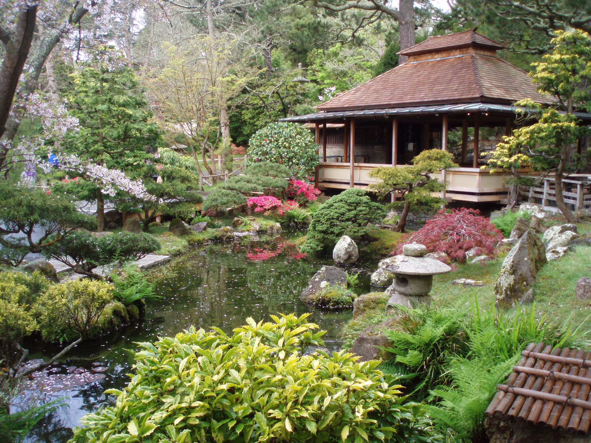 japanese tea garden