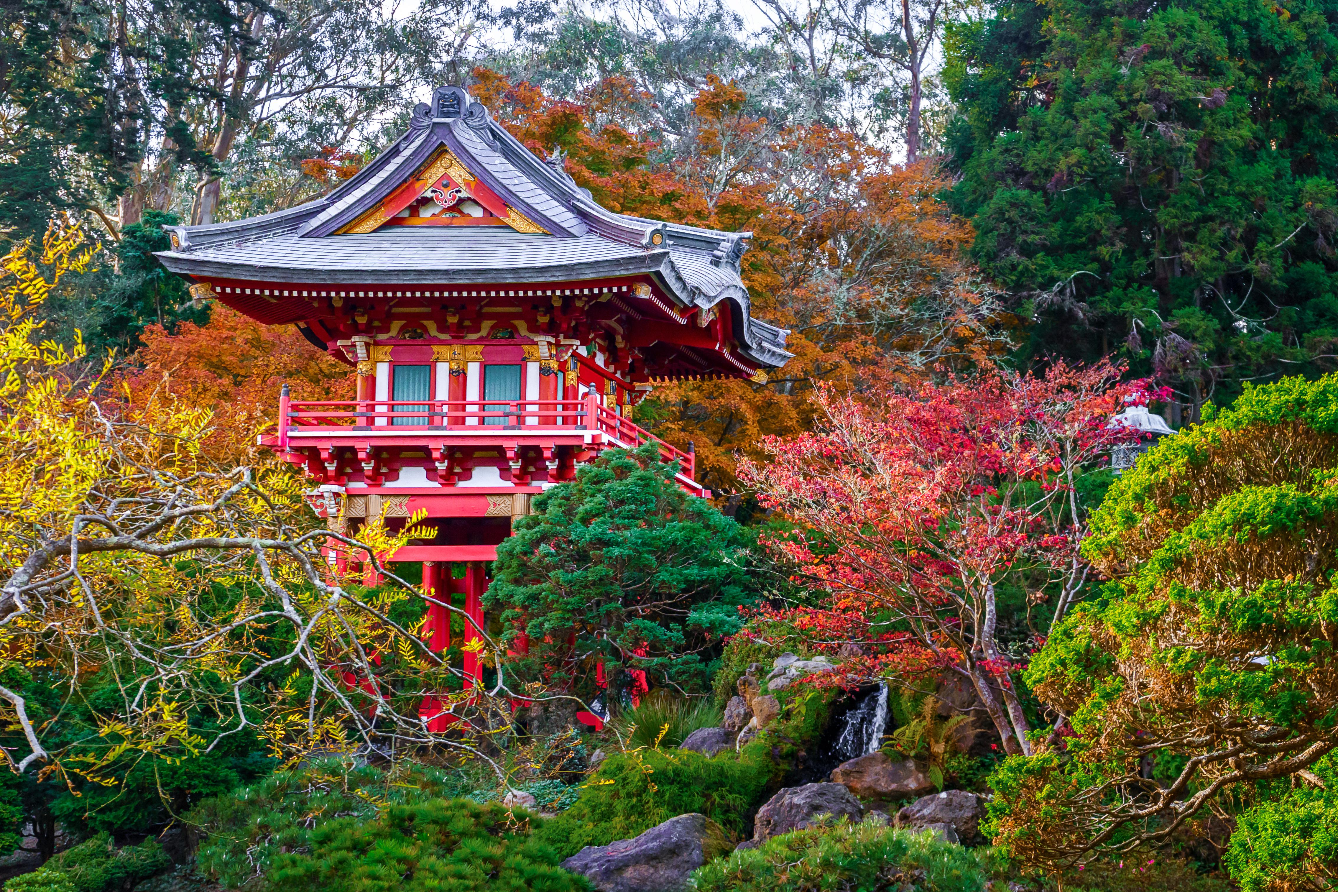 Japanese Tea Garden, San Francisco, r
