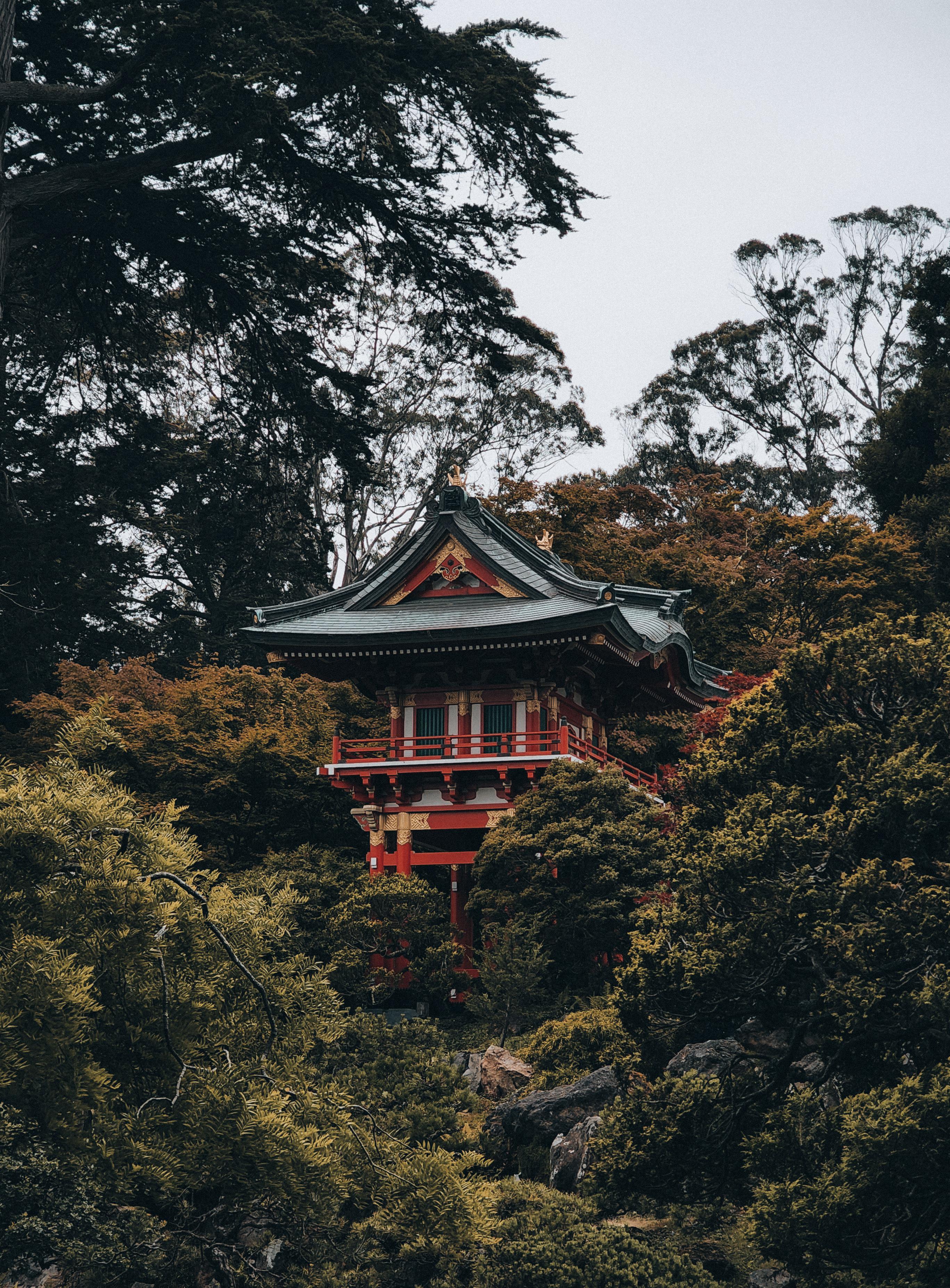 Japanese Tea Garden S23