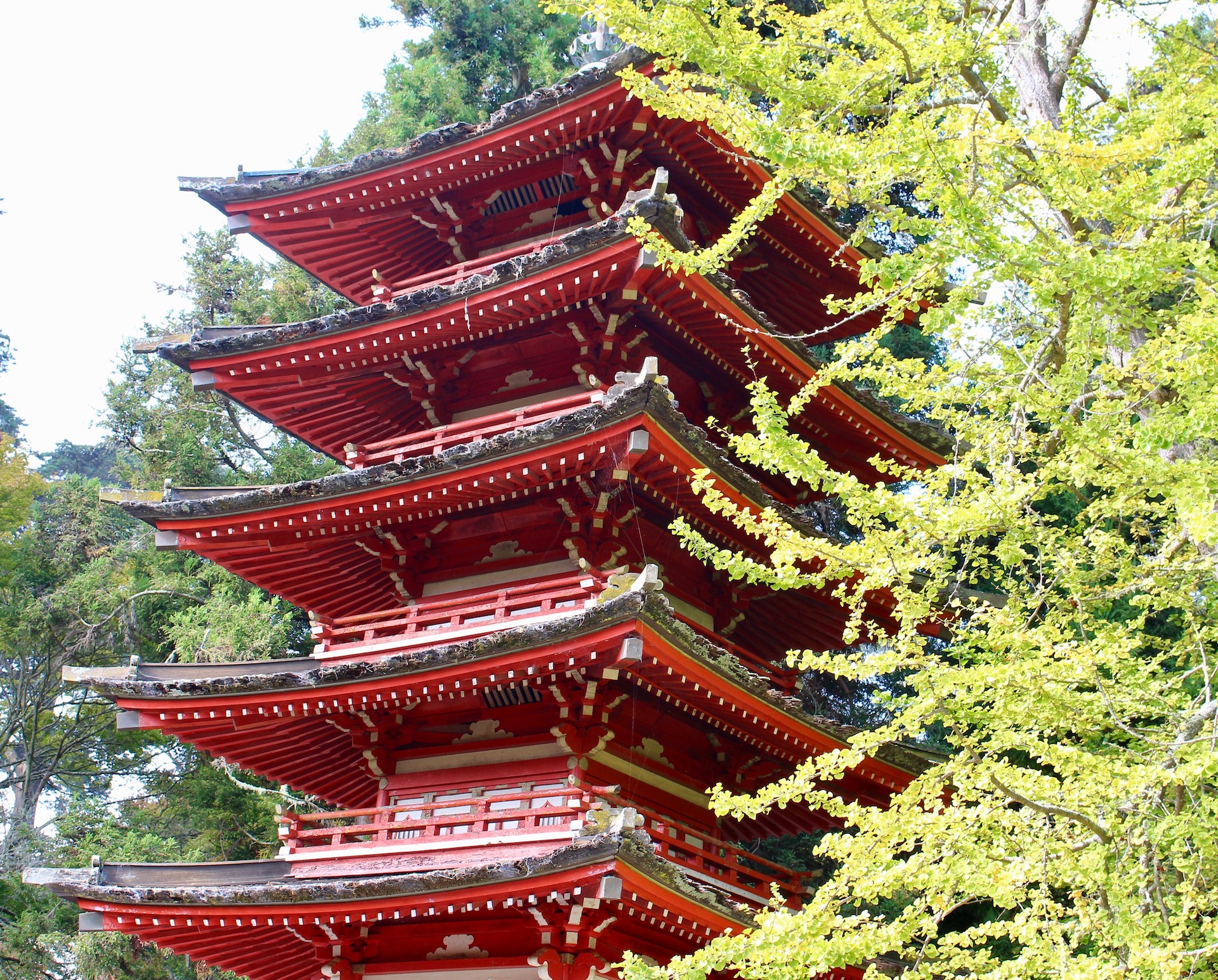 Japanese Tea Garden at Golden Gate Park