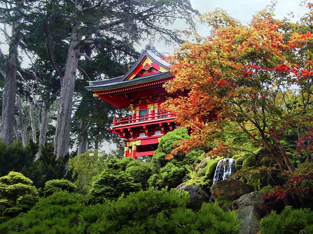 Japanese Tea Garden. San Francisco