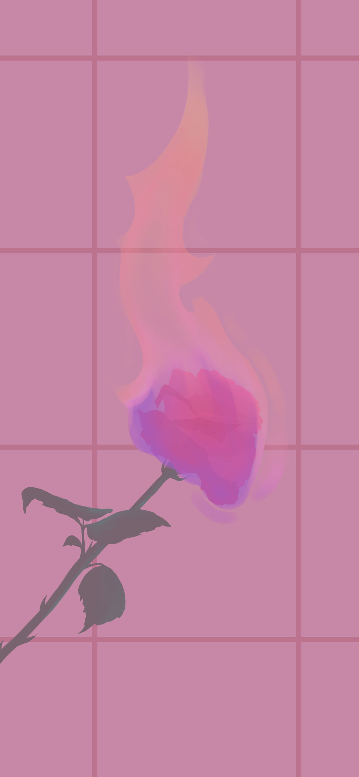 Rose on Fire Pink Wallpaper