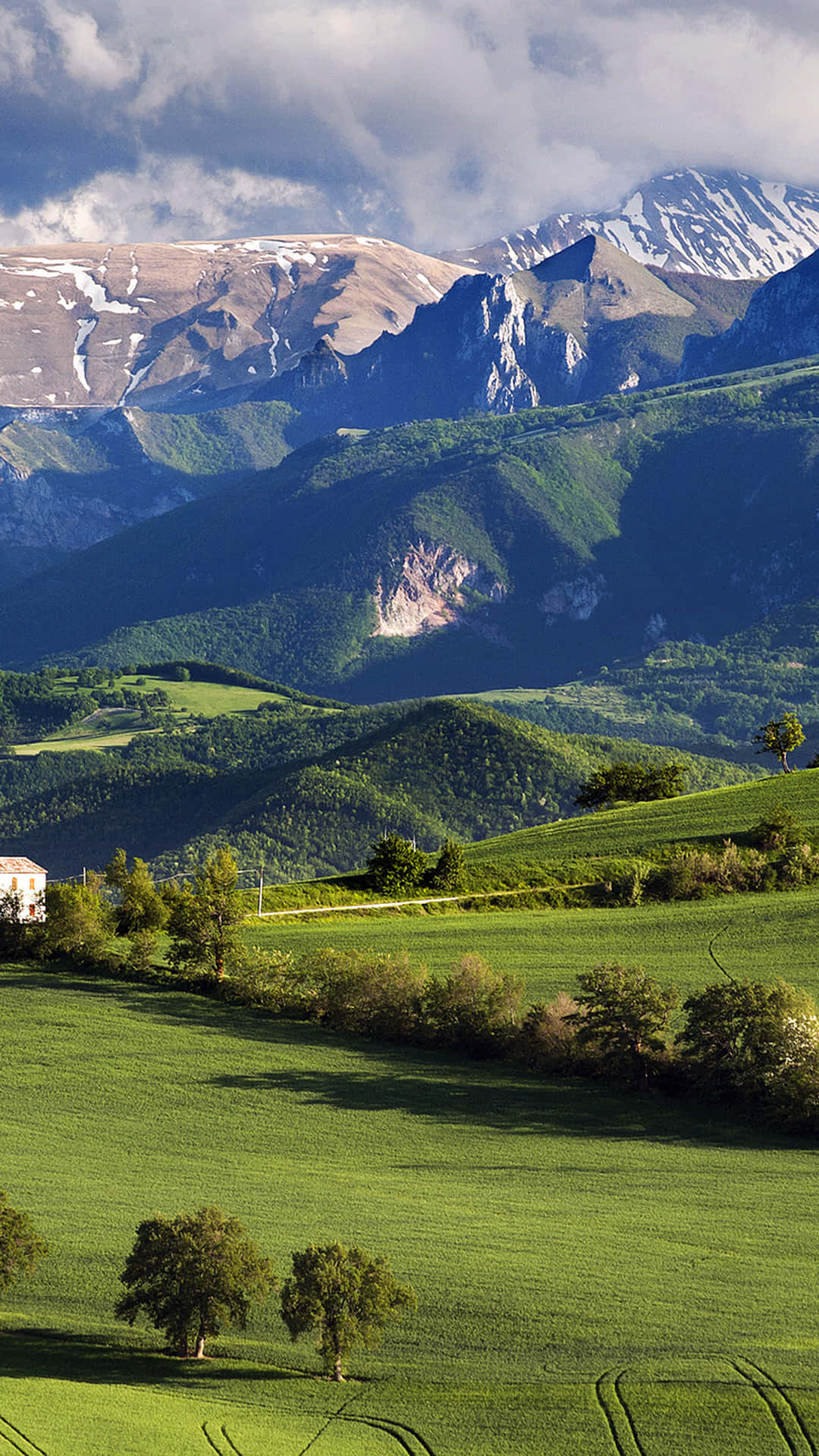 Summer Nature Android HD Wallpaper