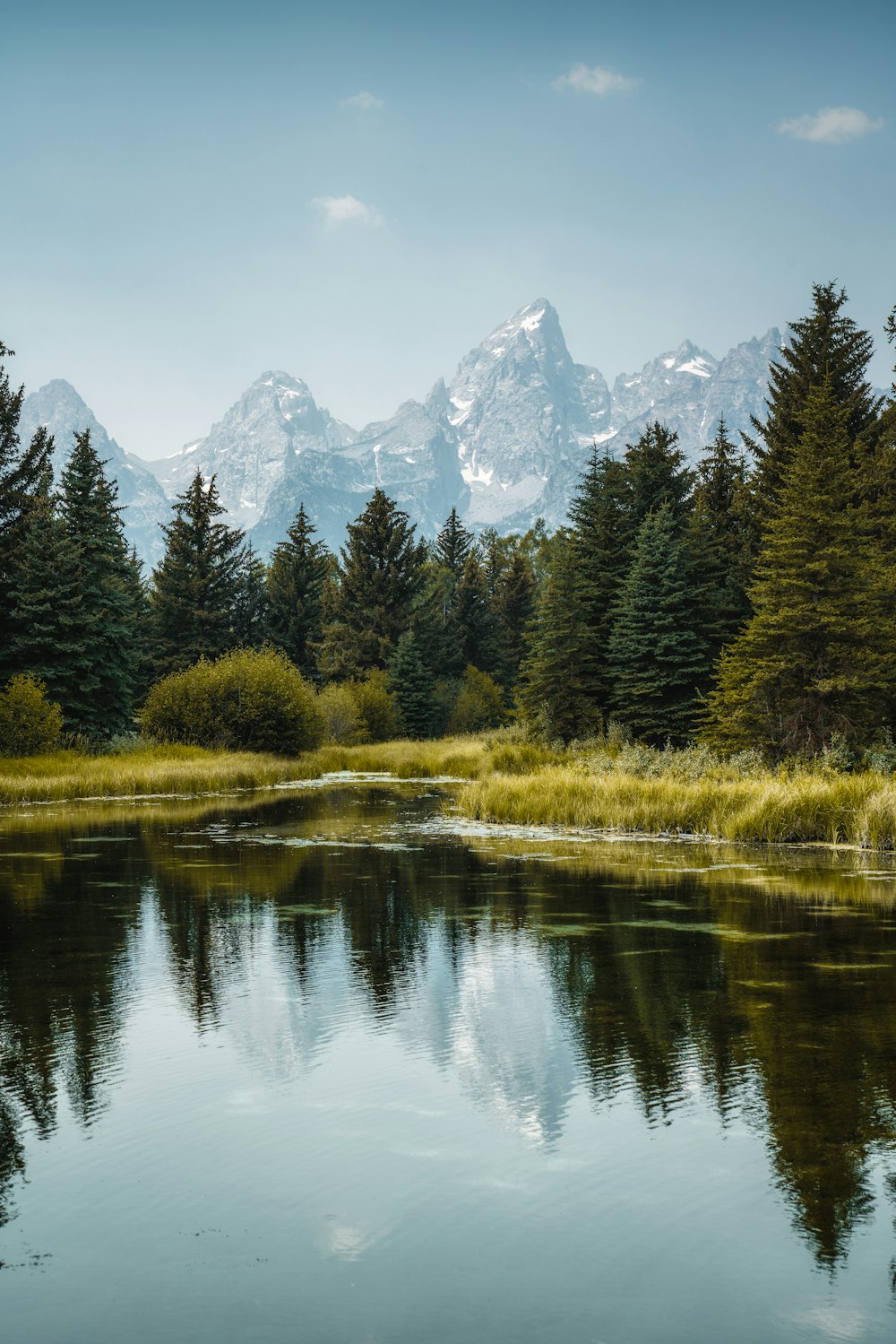 A lake with trees and mountains in