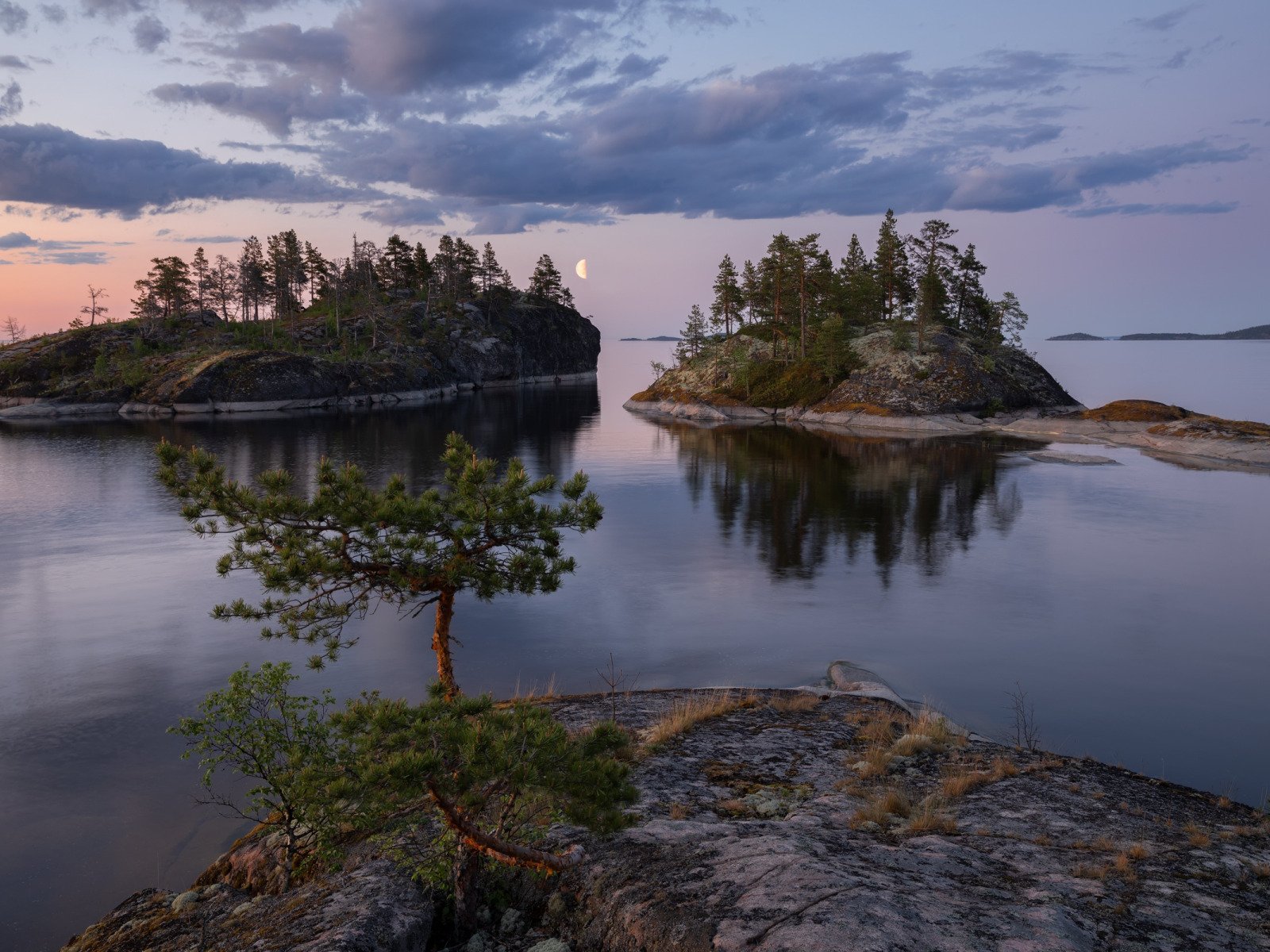 Lake Summer Trees Wallpapers - Wallpaper Cave