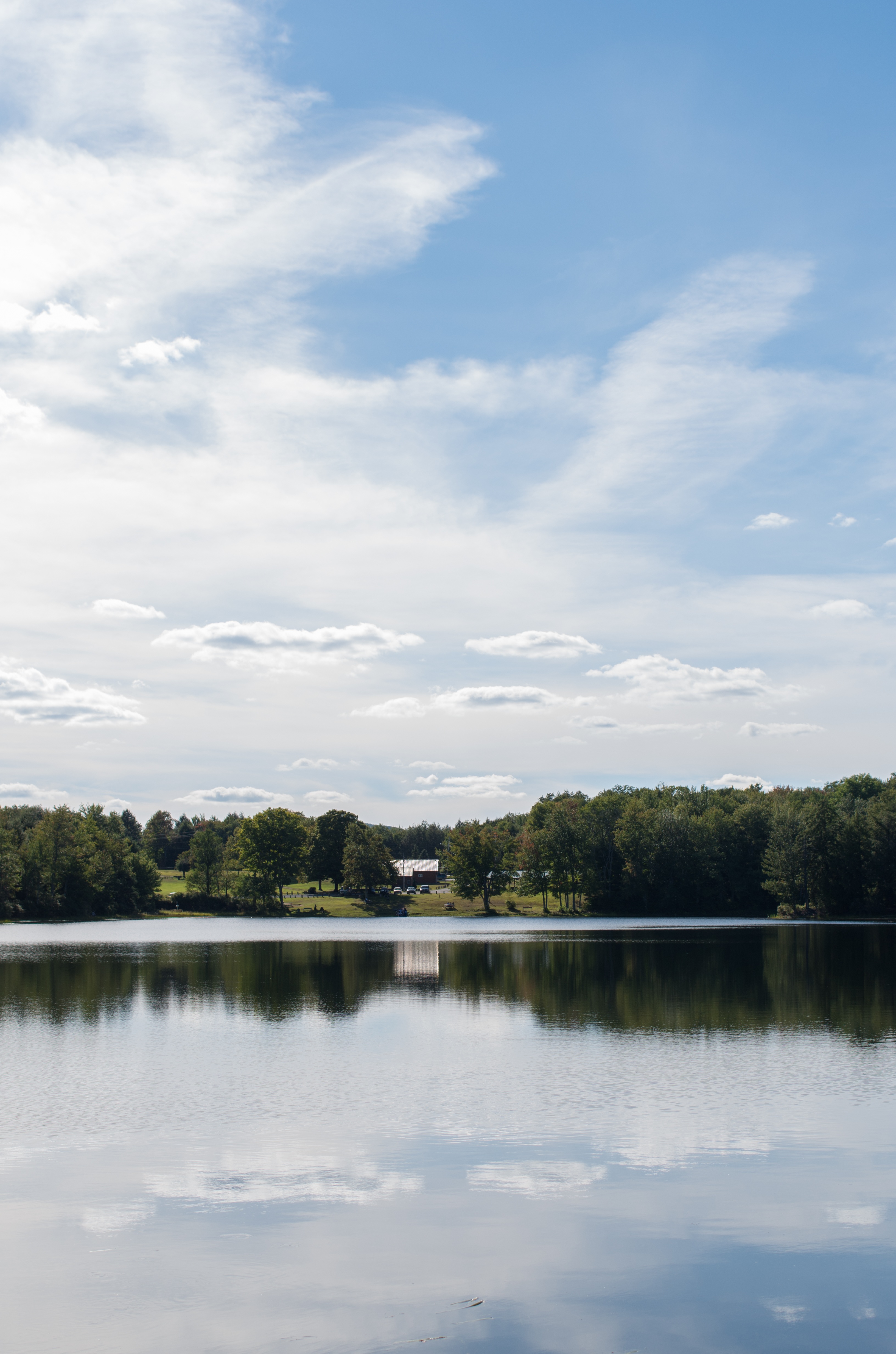 landscape, tree, nature, cloud, sky