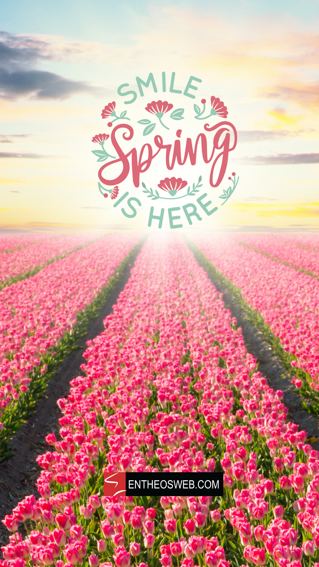 Spring Phone Wallpaper