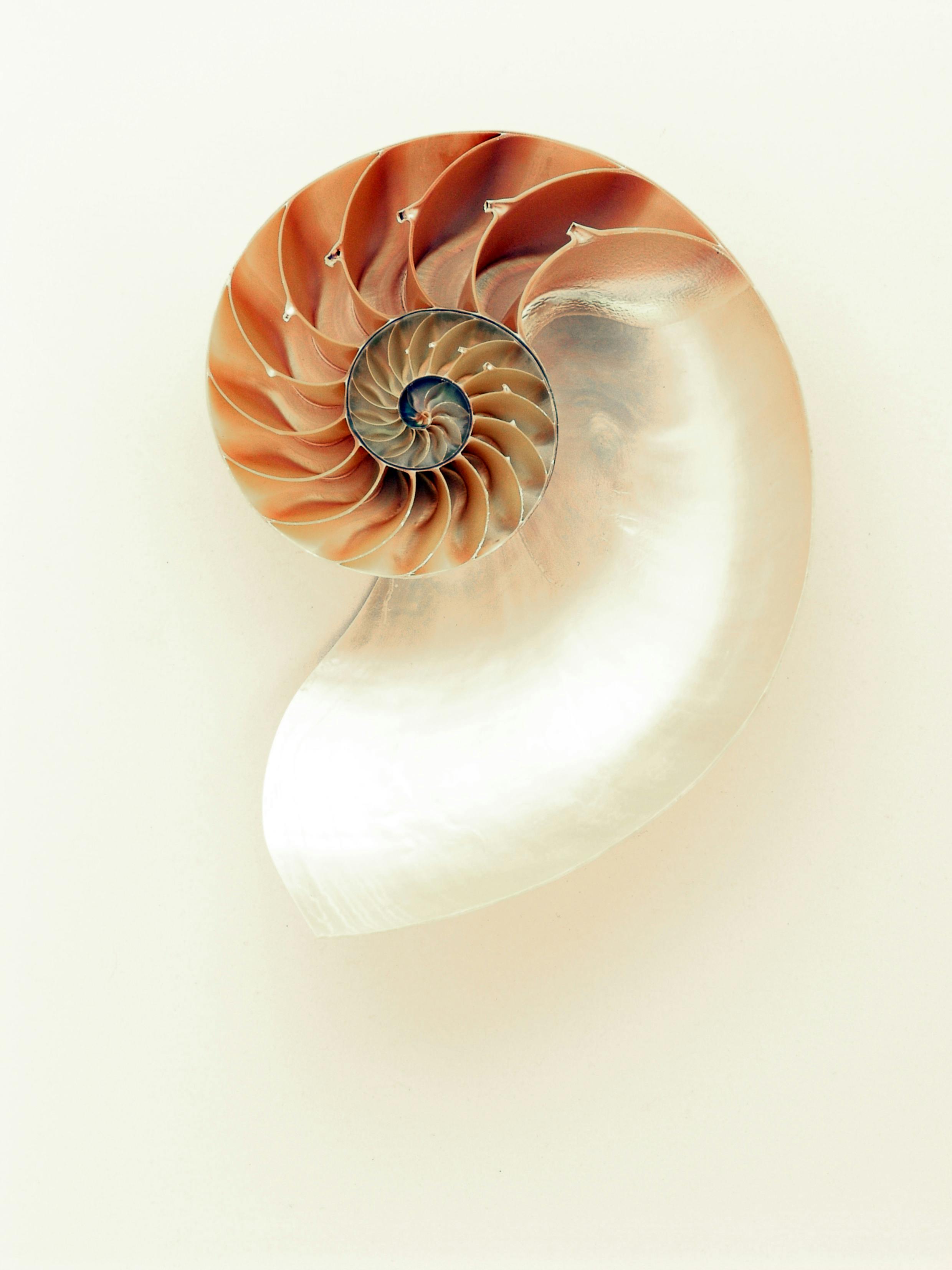 1,Best Pearl Photo · 100% Free