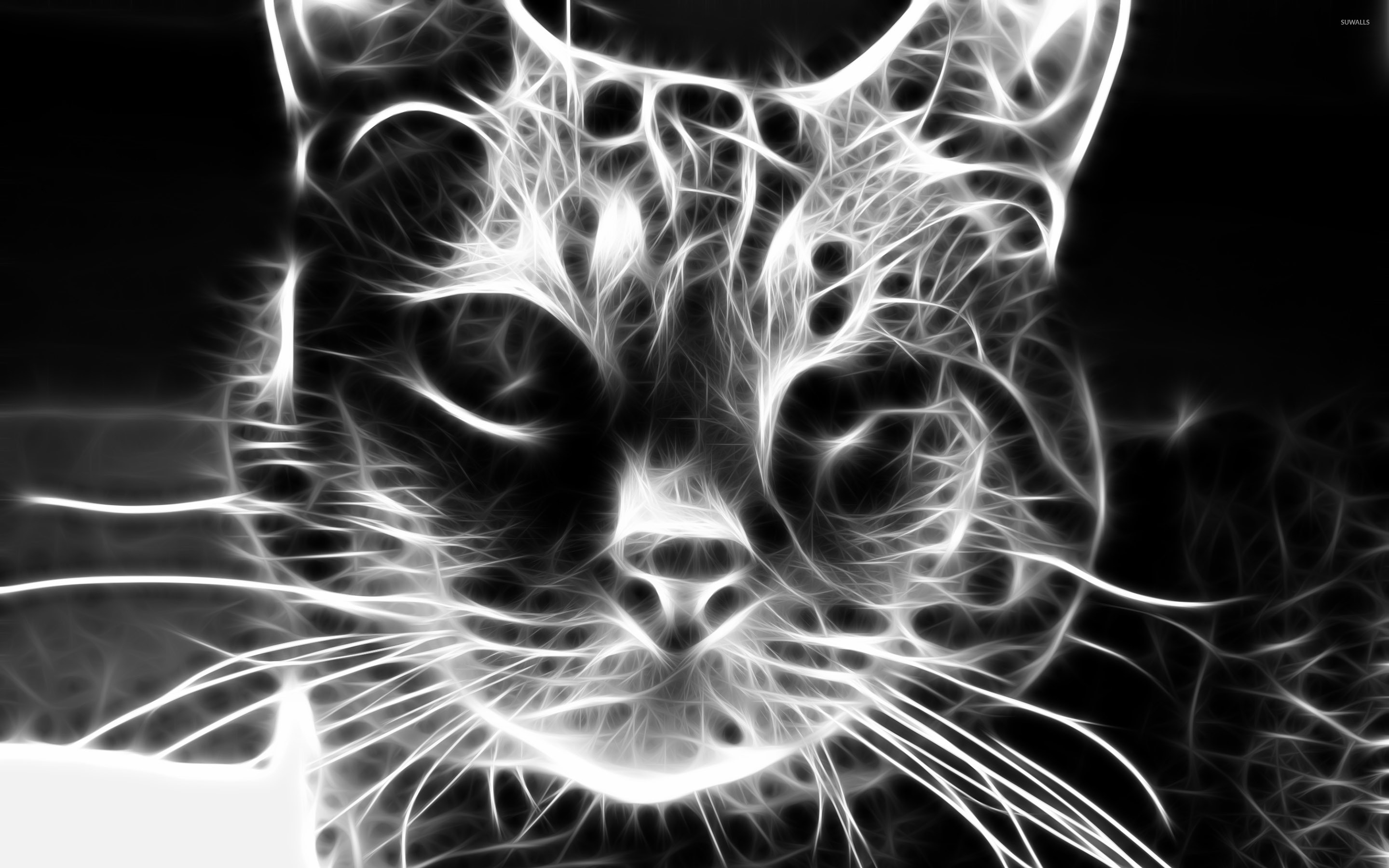 Grey cat [2] wallpaper Art