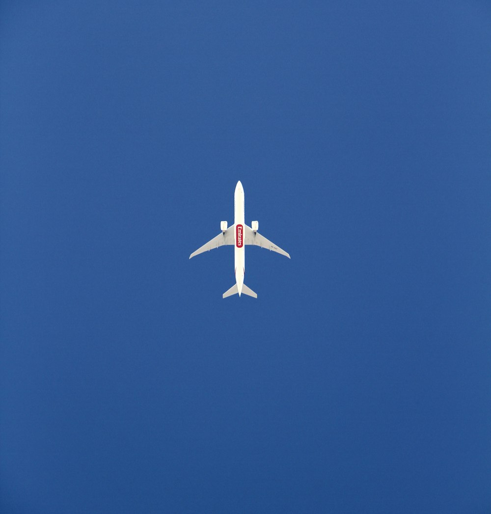 Emirates Flight Picture