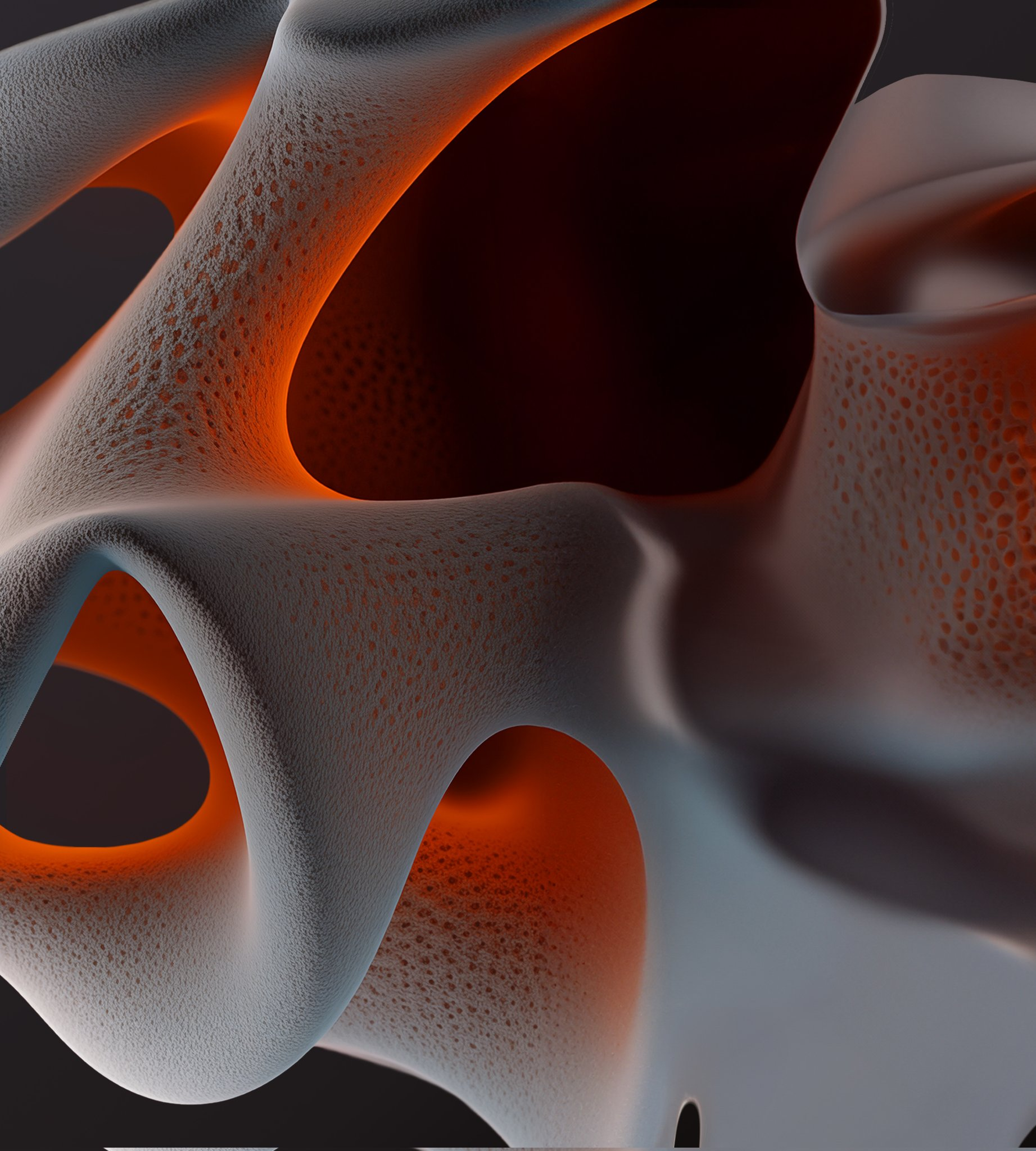 Motorola Edge 50 Pro wallpaper