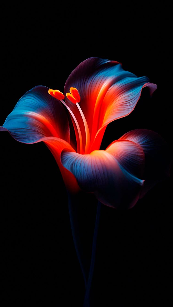 Dark Flower iPhone Wallpaper