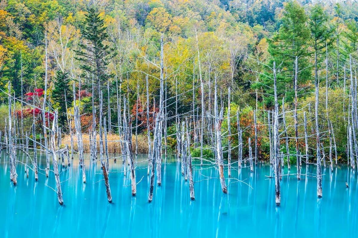 Blue pond Biei, Hokkaido, A Mac