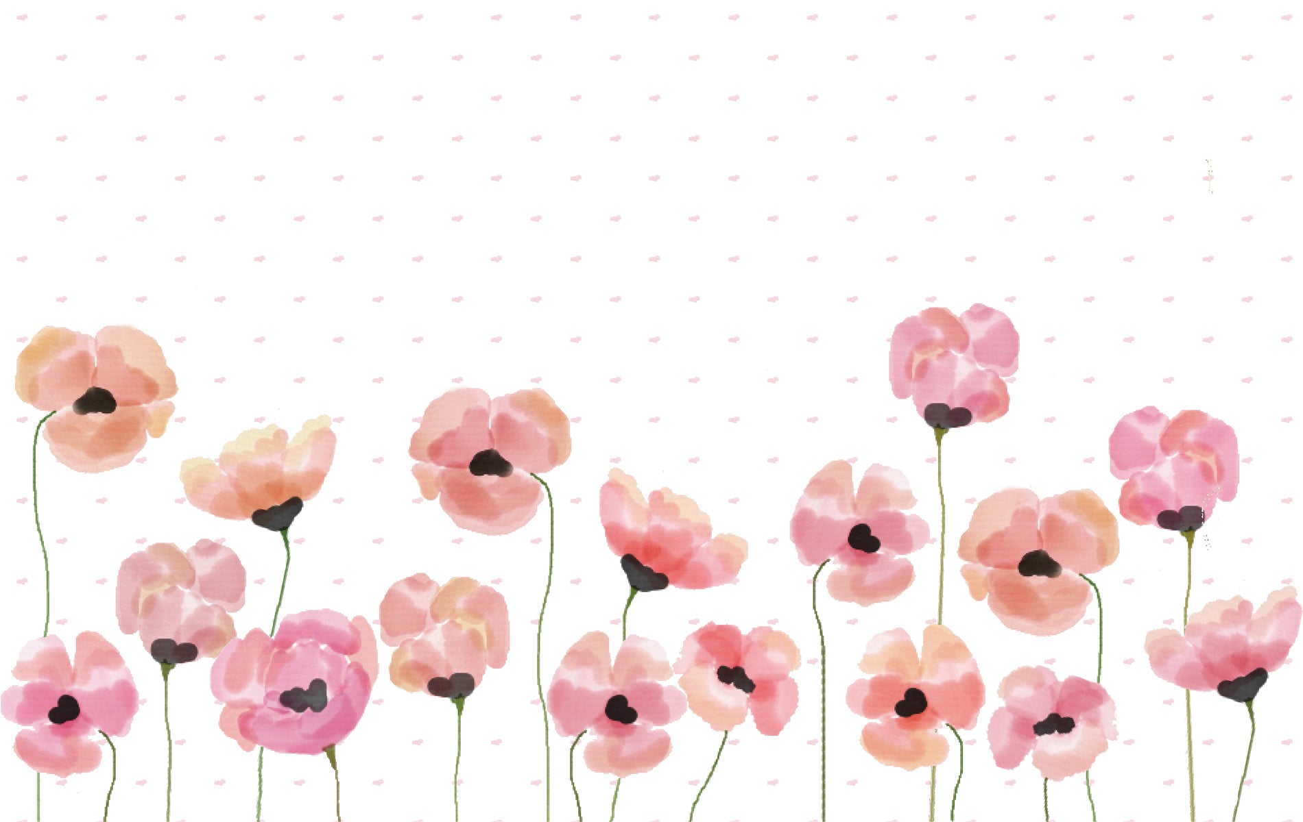 Pink watercolour poppy desktop