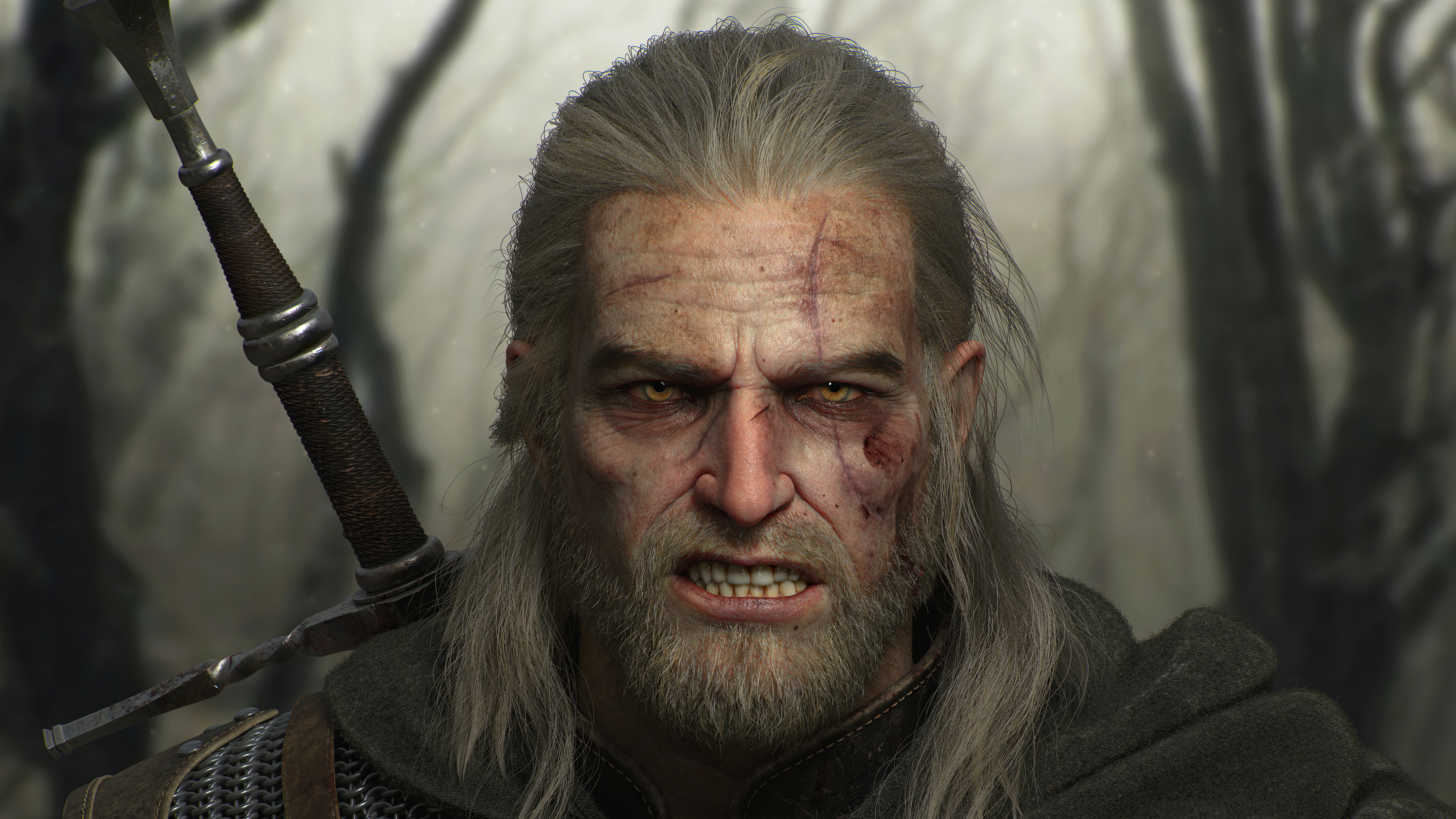 Witcher 3: Wild Hunt 4k Ultra HD Wallpaper