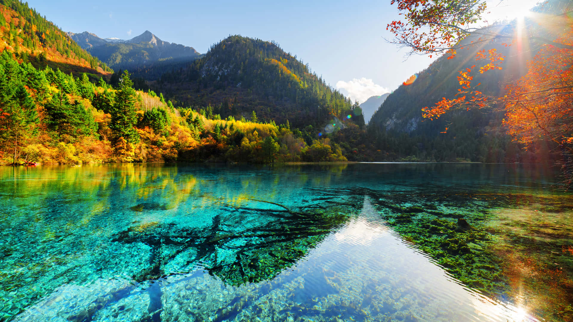 Download A Lake With Clear Water And Trees In The Background Wallpaper