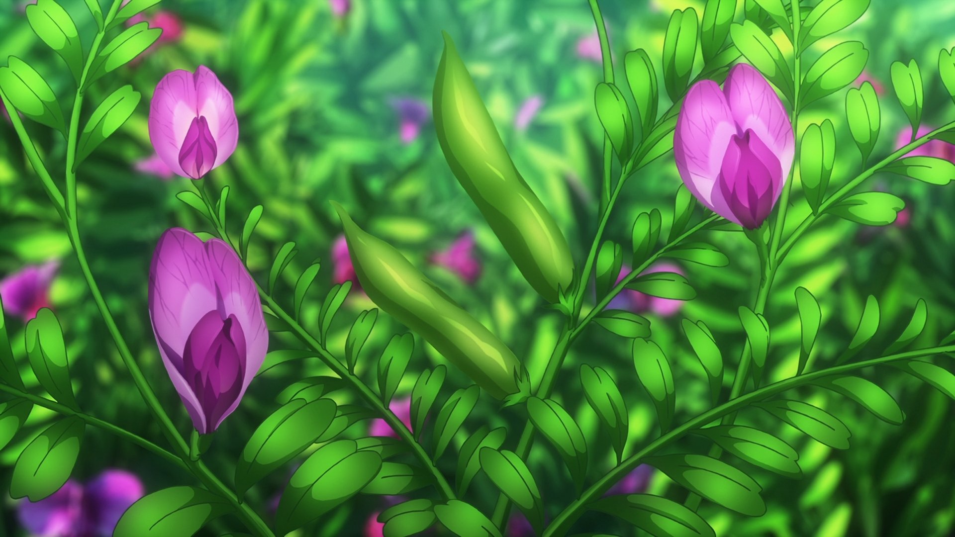 Anime Flowers Wallpaper