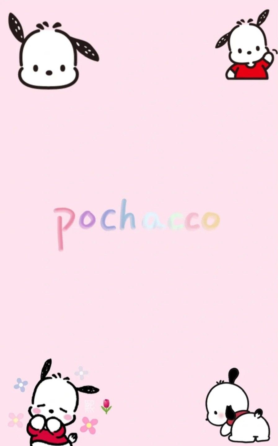 Pochacco