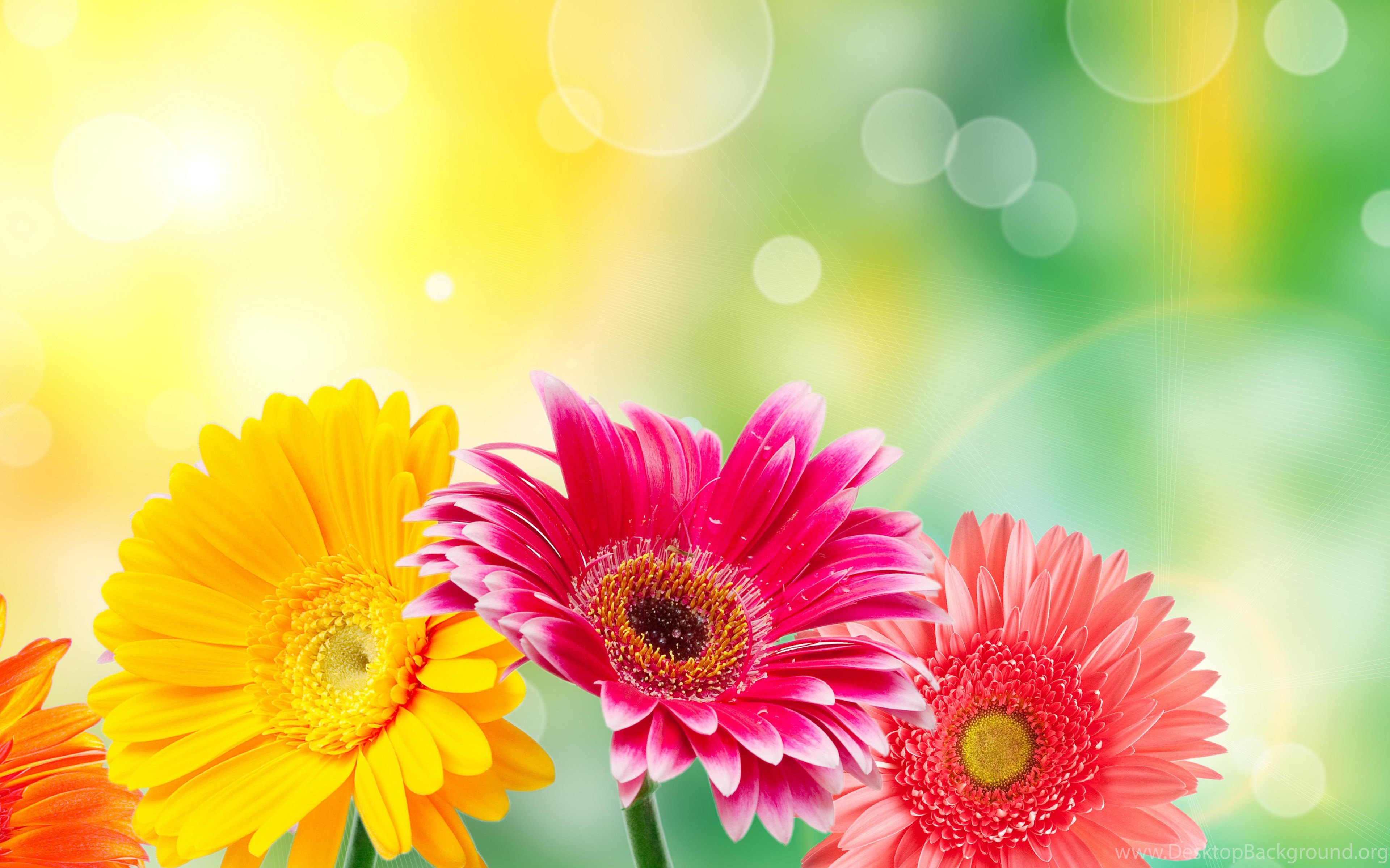 Hd Wallpaper, Mother Nature, Windows