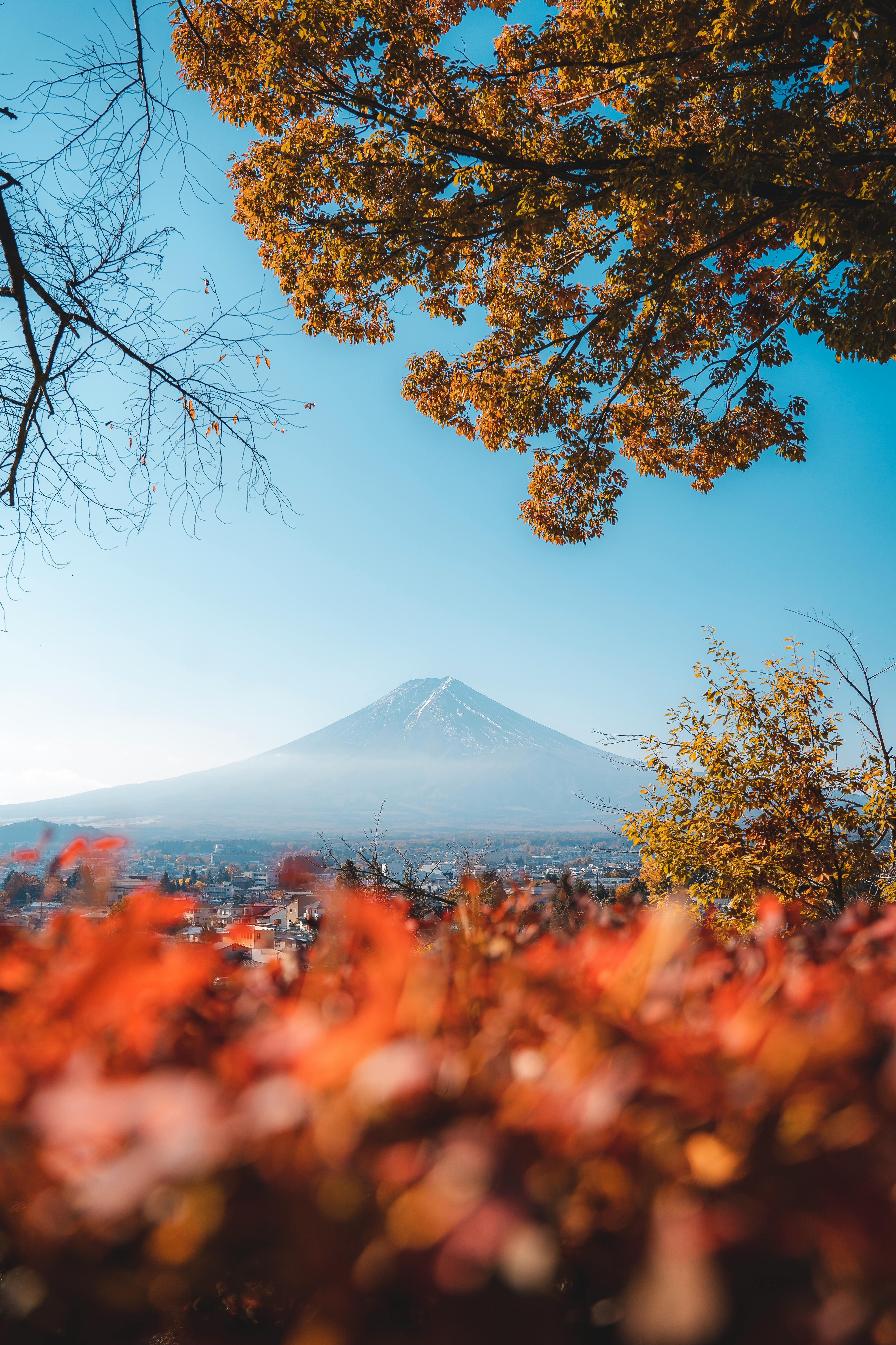 Mount Fuji in Autumn · Free