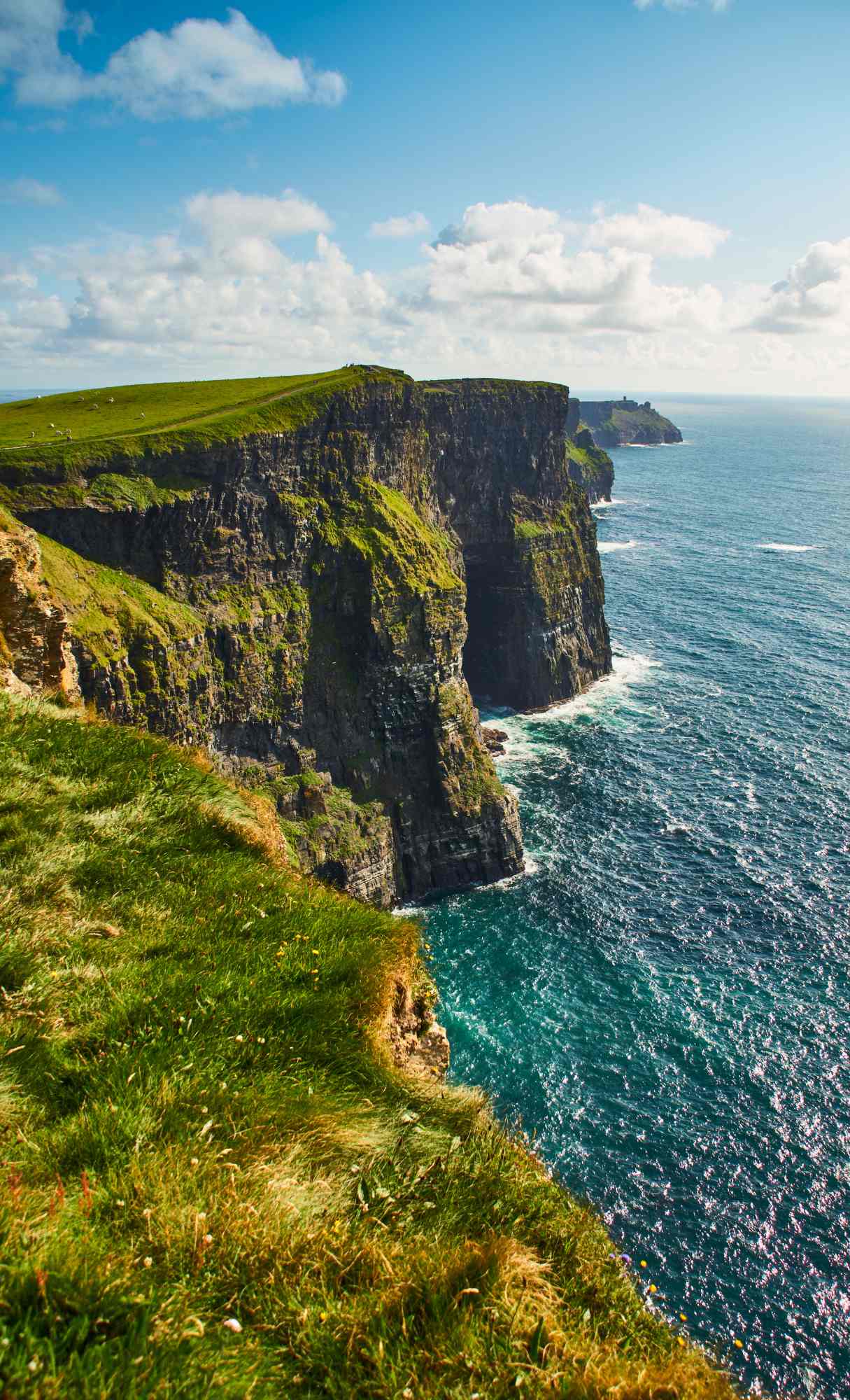 Best Ocean iPhone Wallpaper