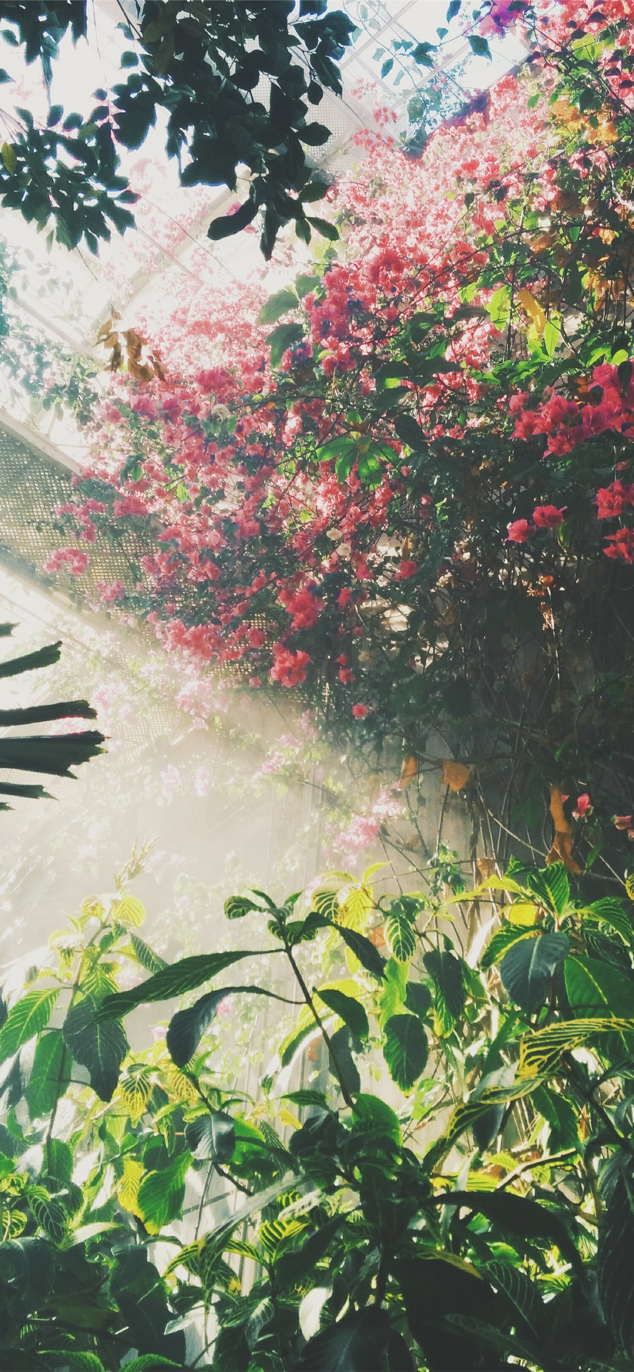 Best Ireland iPhone HD Wallpaper