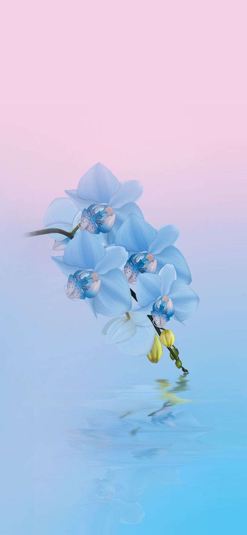 iphone xr: Wallpaper iPhone XR